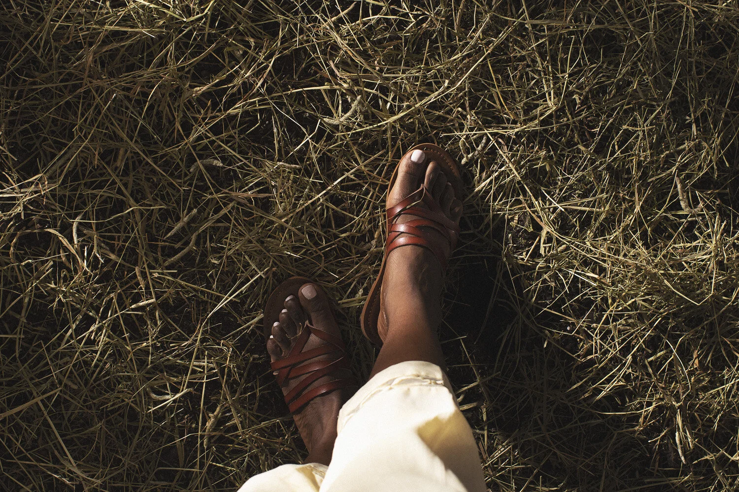 Jaakko-Kastari-Photography-Corteva001.jpg