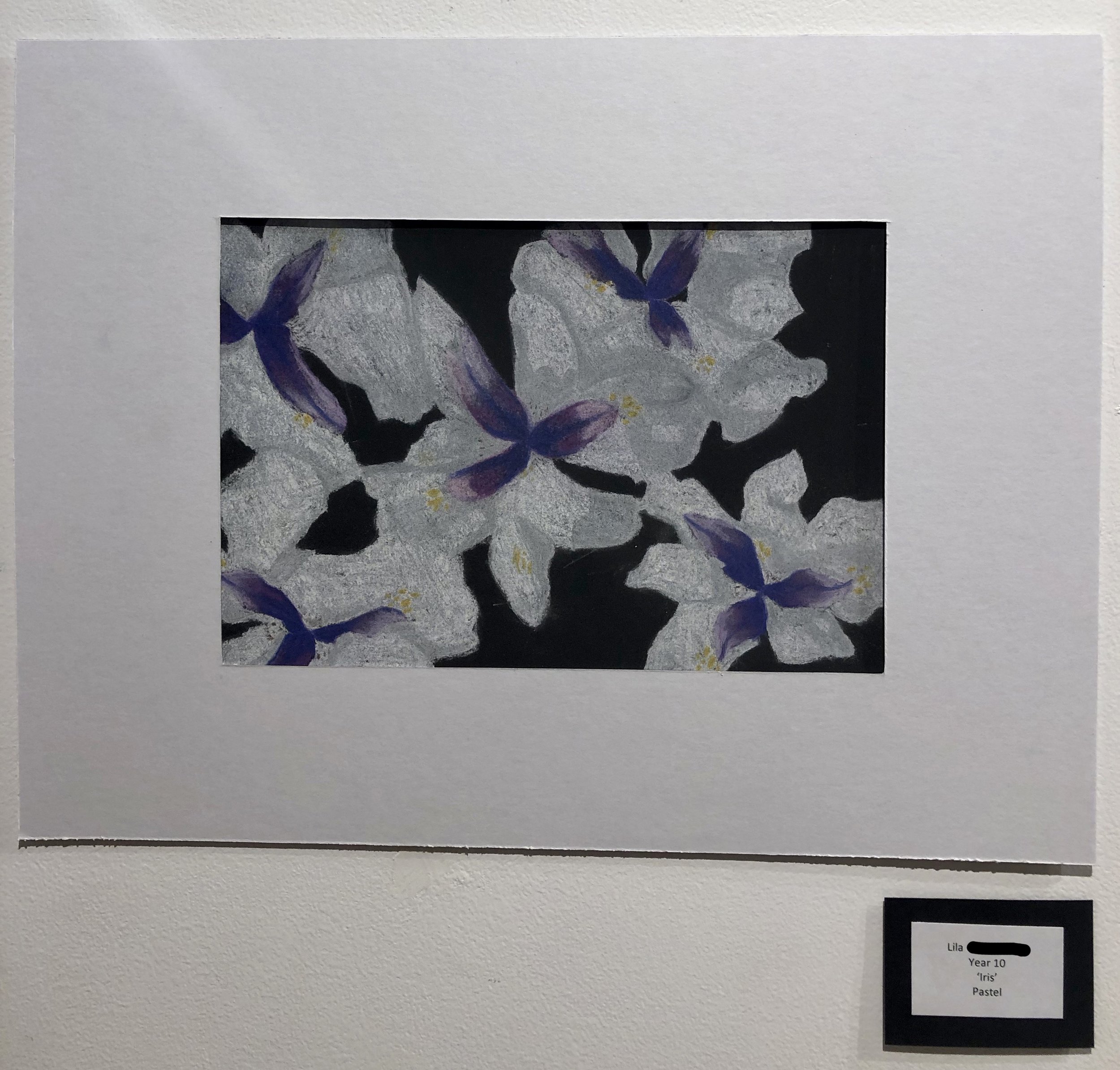 "Iris" by Lila (Year 11)