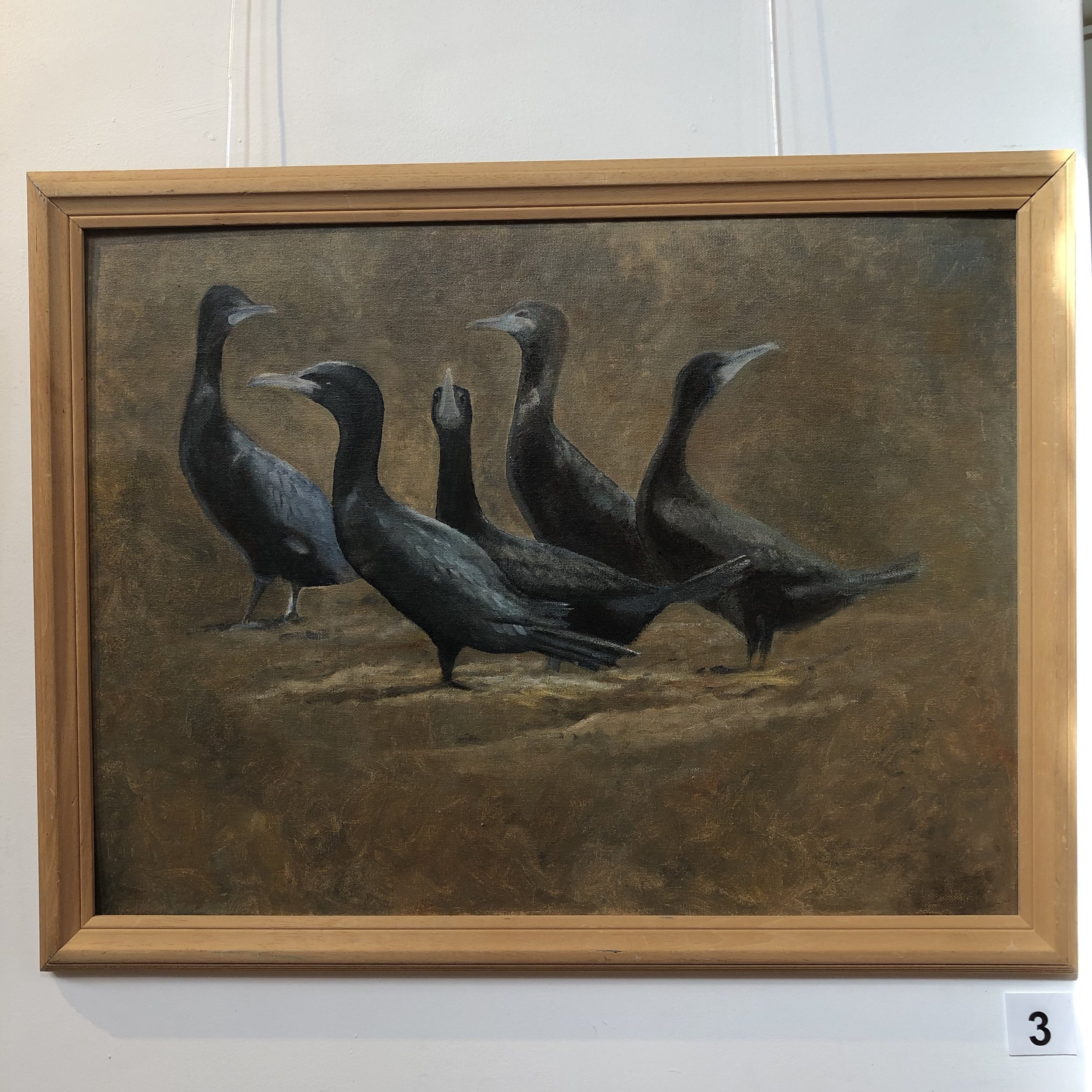 "Cormorants" by Lisa Timms Stevens