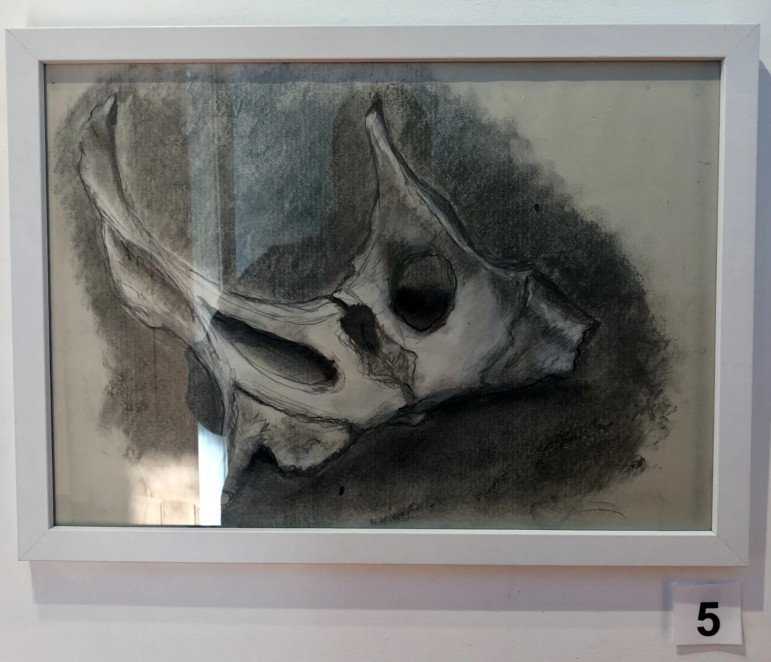 "Pelvis - Deer" by Lisa Timms Stevens