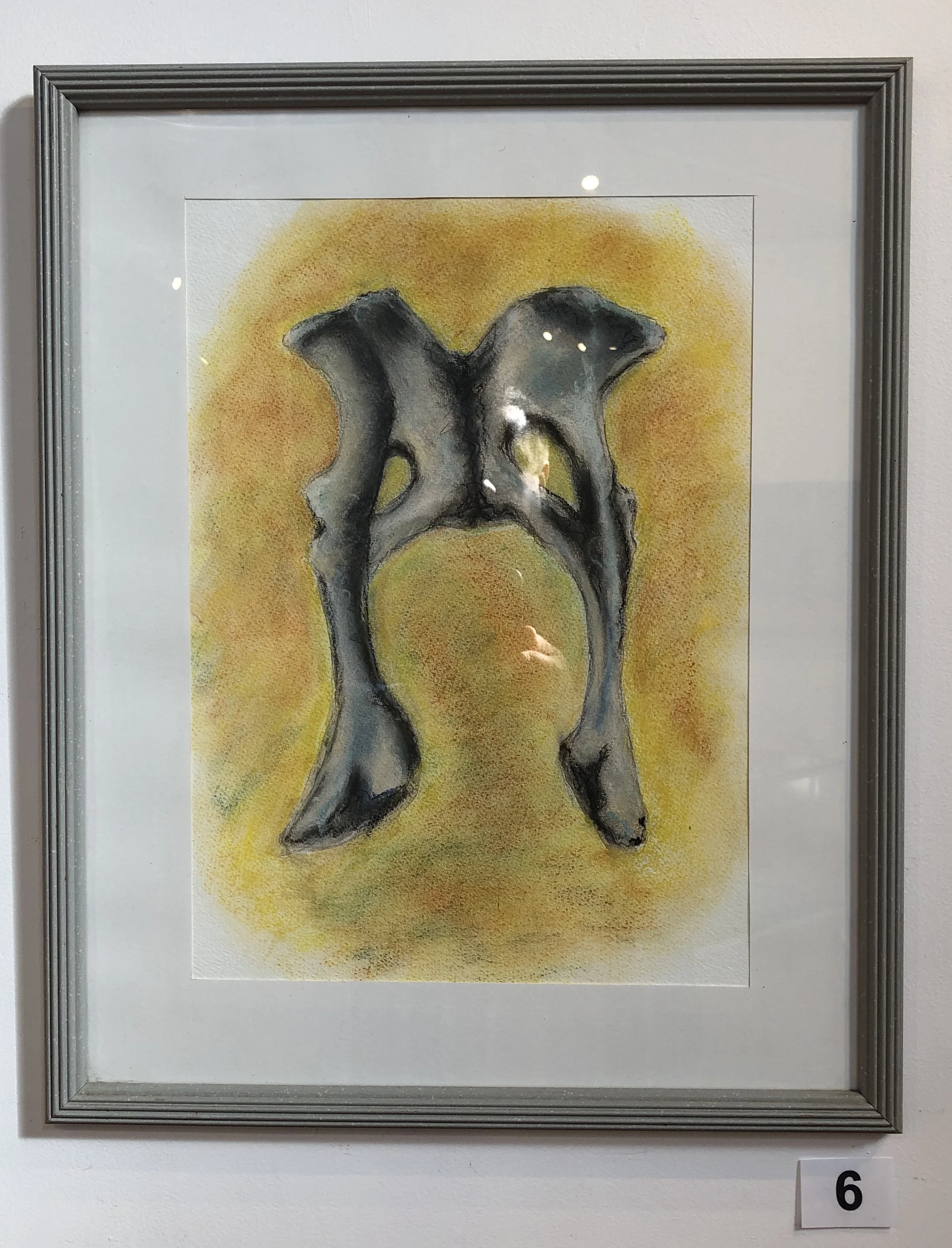 "Pelvis - Hog Deer" by Lisa Timms Stevens
