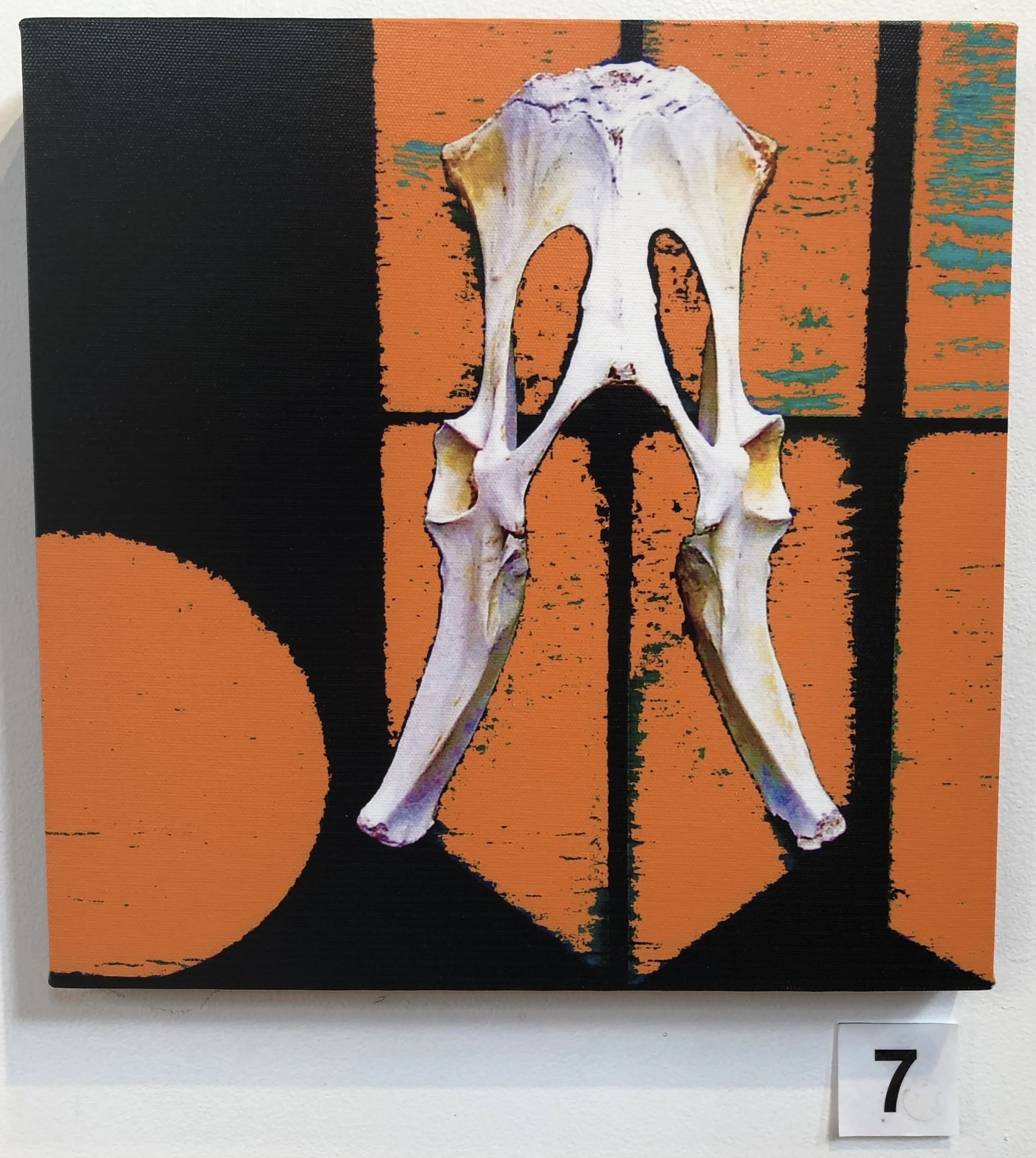 "Pelvis - Kangaroo" by Lisa Timms Stevens