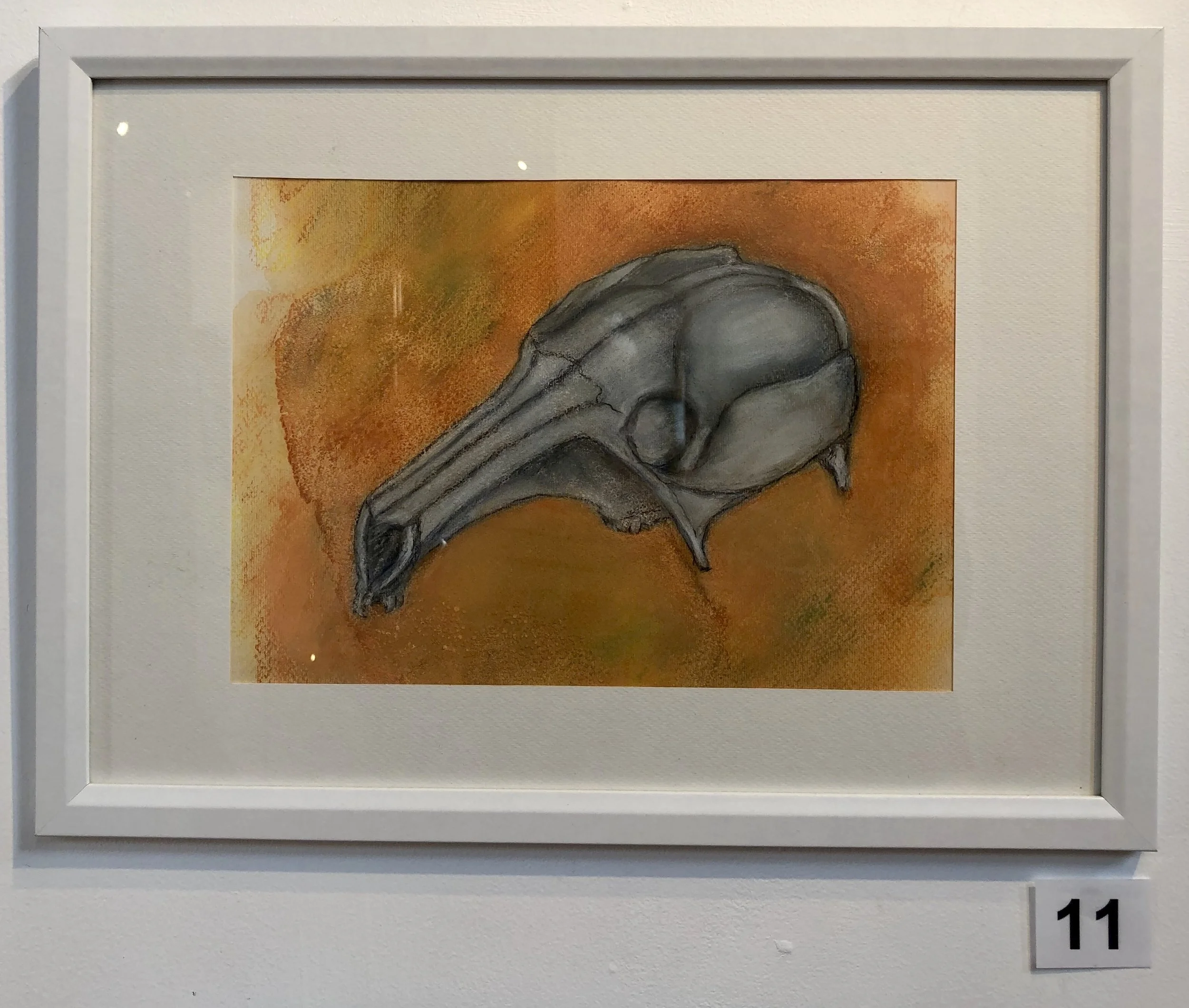 "Skull - Kangaroo" by Lisa Timms Stevens