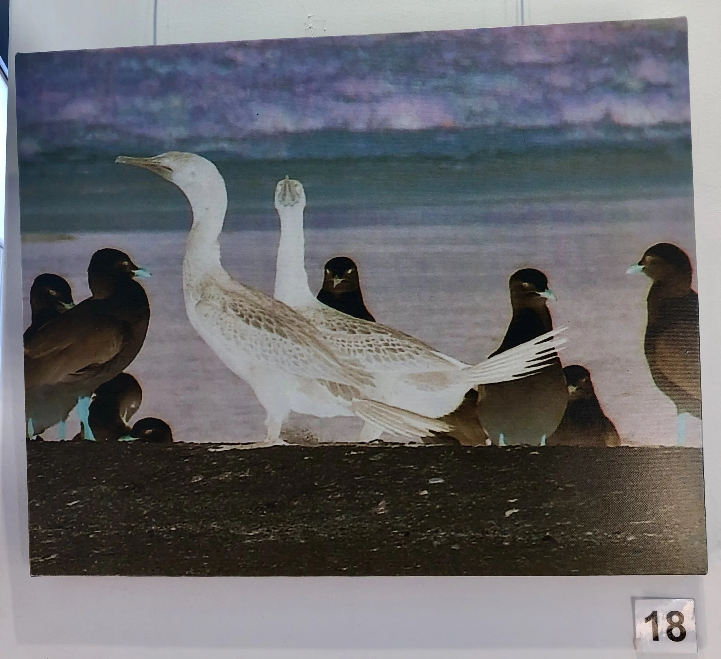 "The Birds" by Lisa Timms Stevens