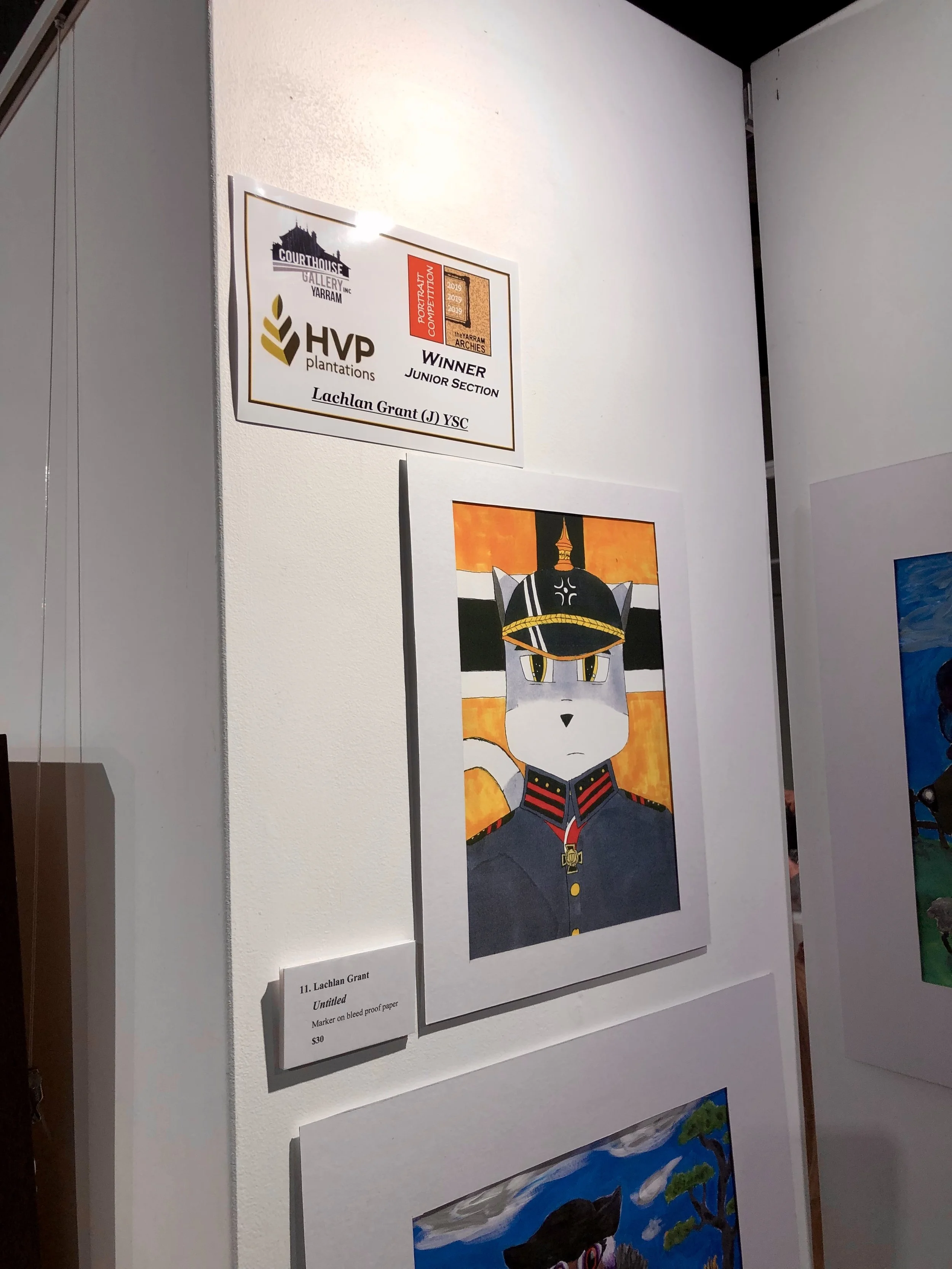 1st Prize (Junior) Title: “Untitled” Artist: Lachlan Grant Marker on Bleed Proof Paper