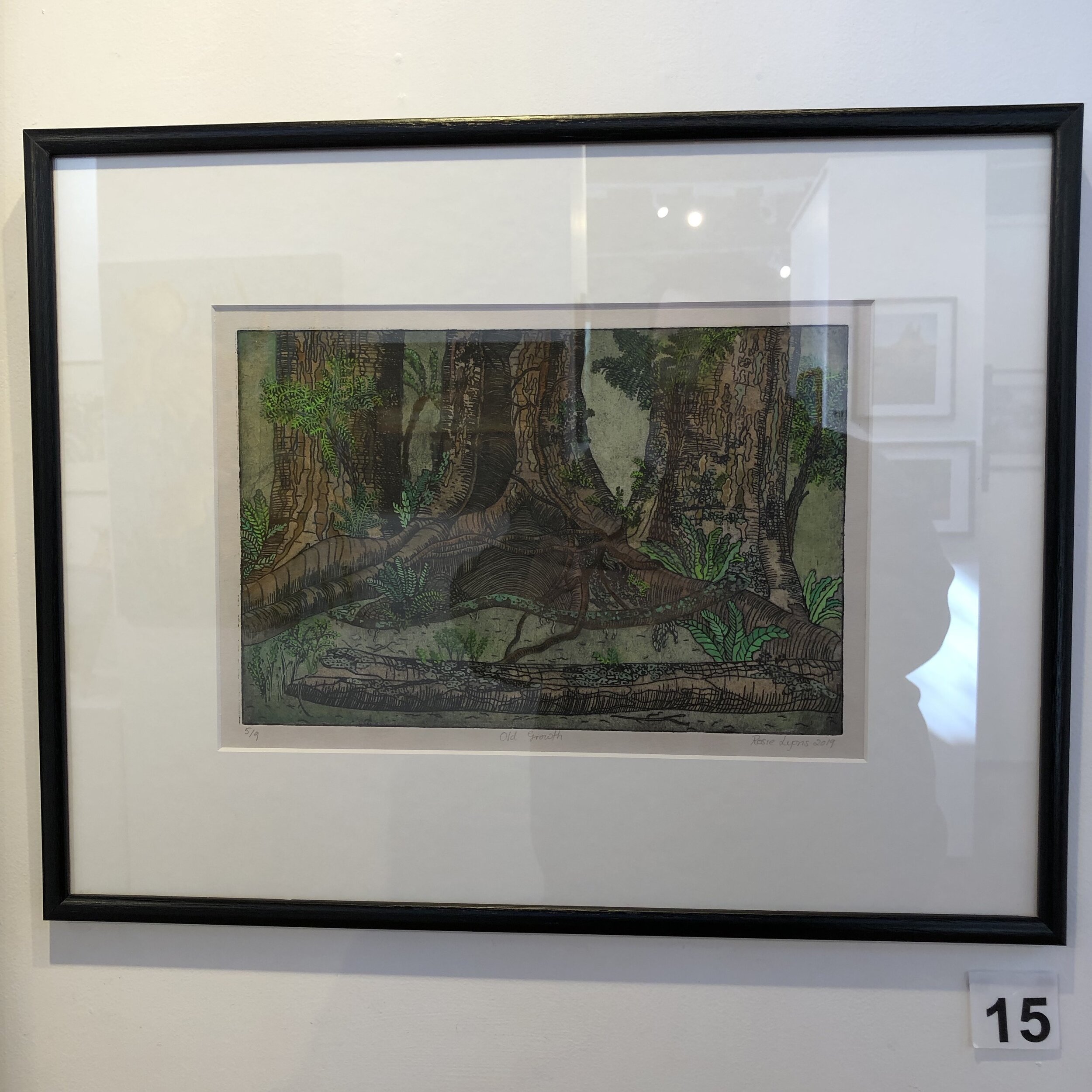 "Tarra Bulga" by Rosie Lyons