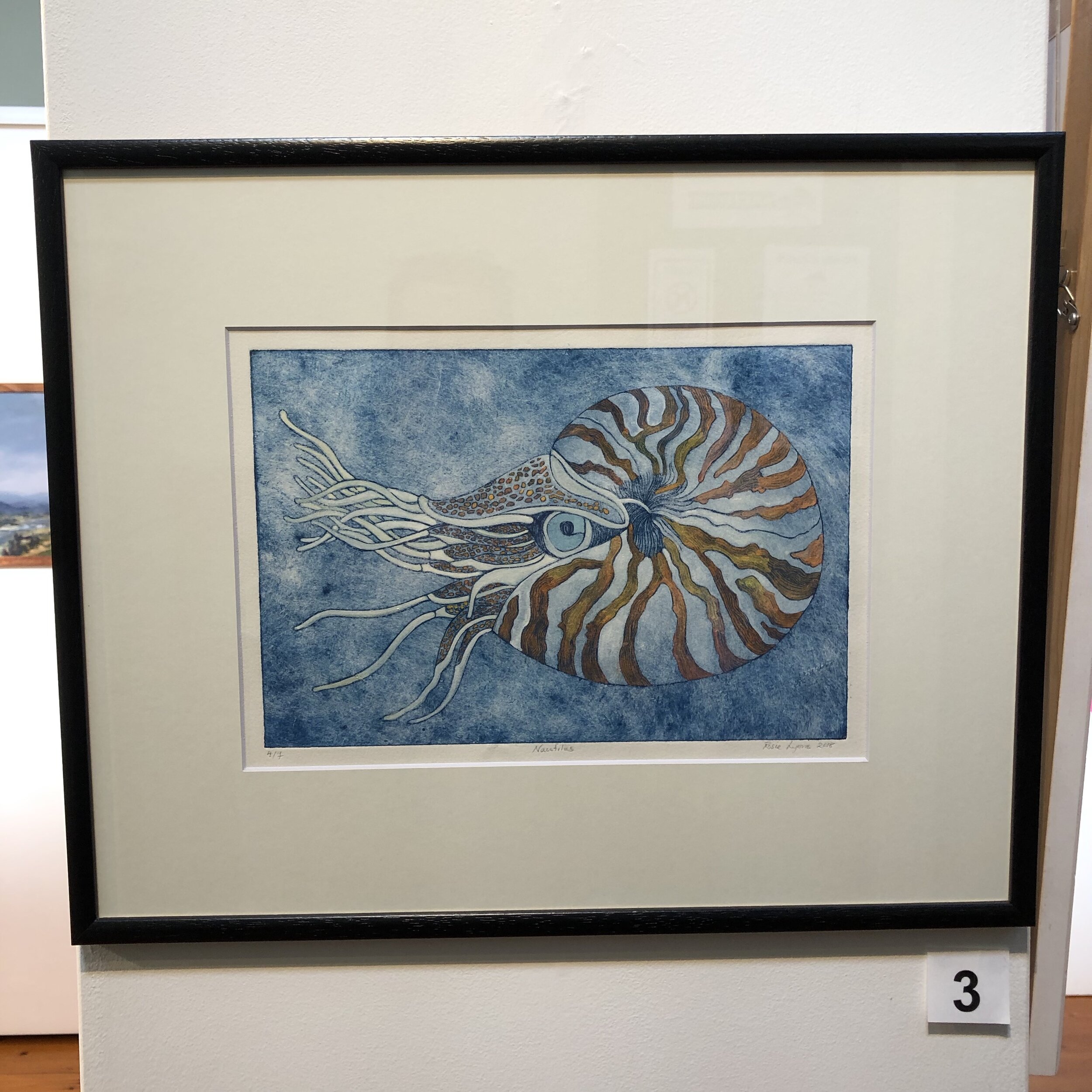 "Nautilus" by Rosie Lyons