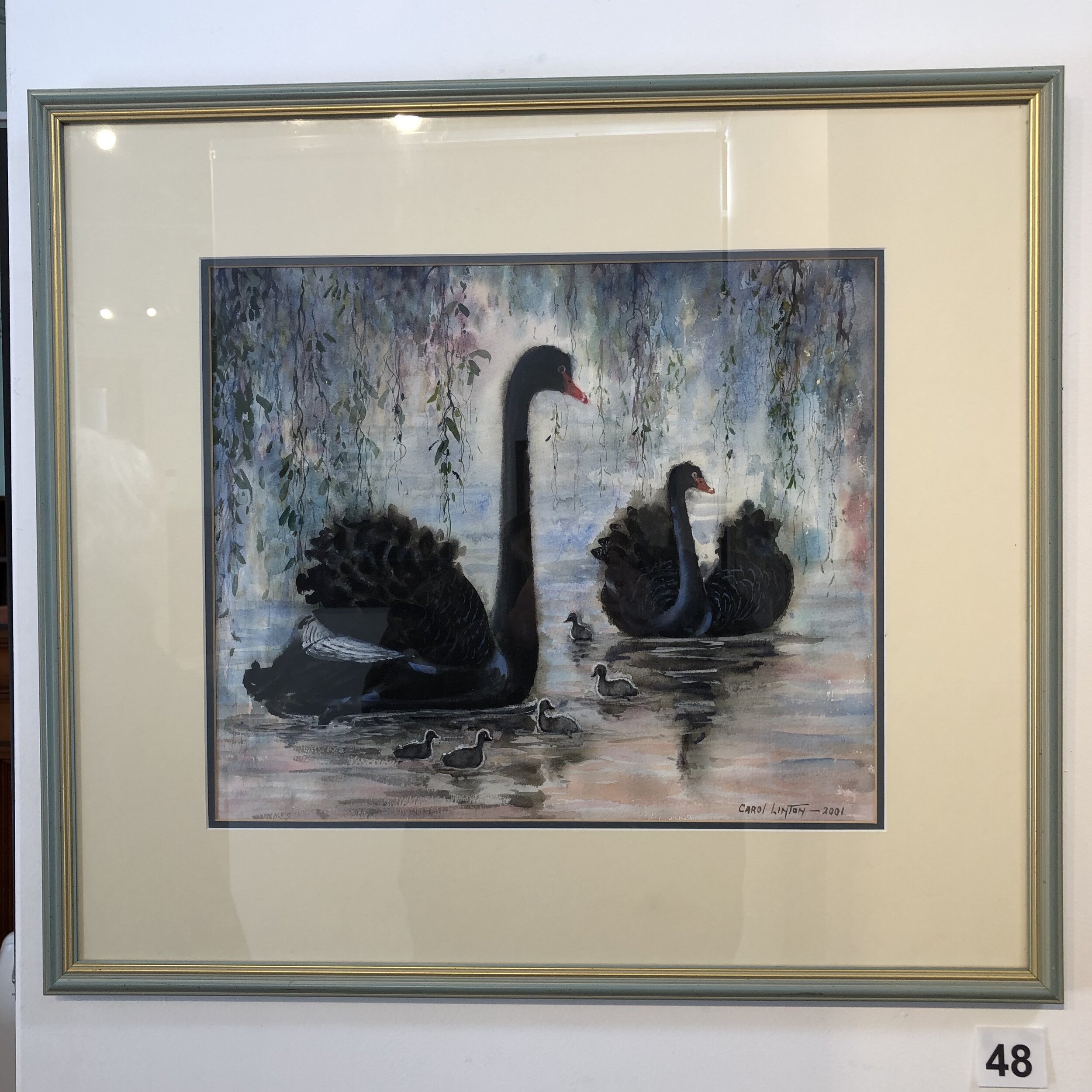 "Black Swans" by Carol Linton
