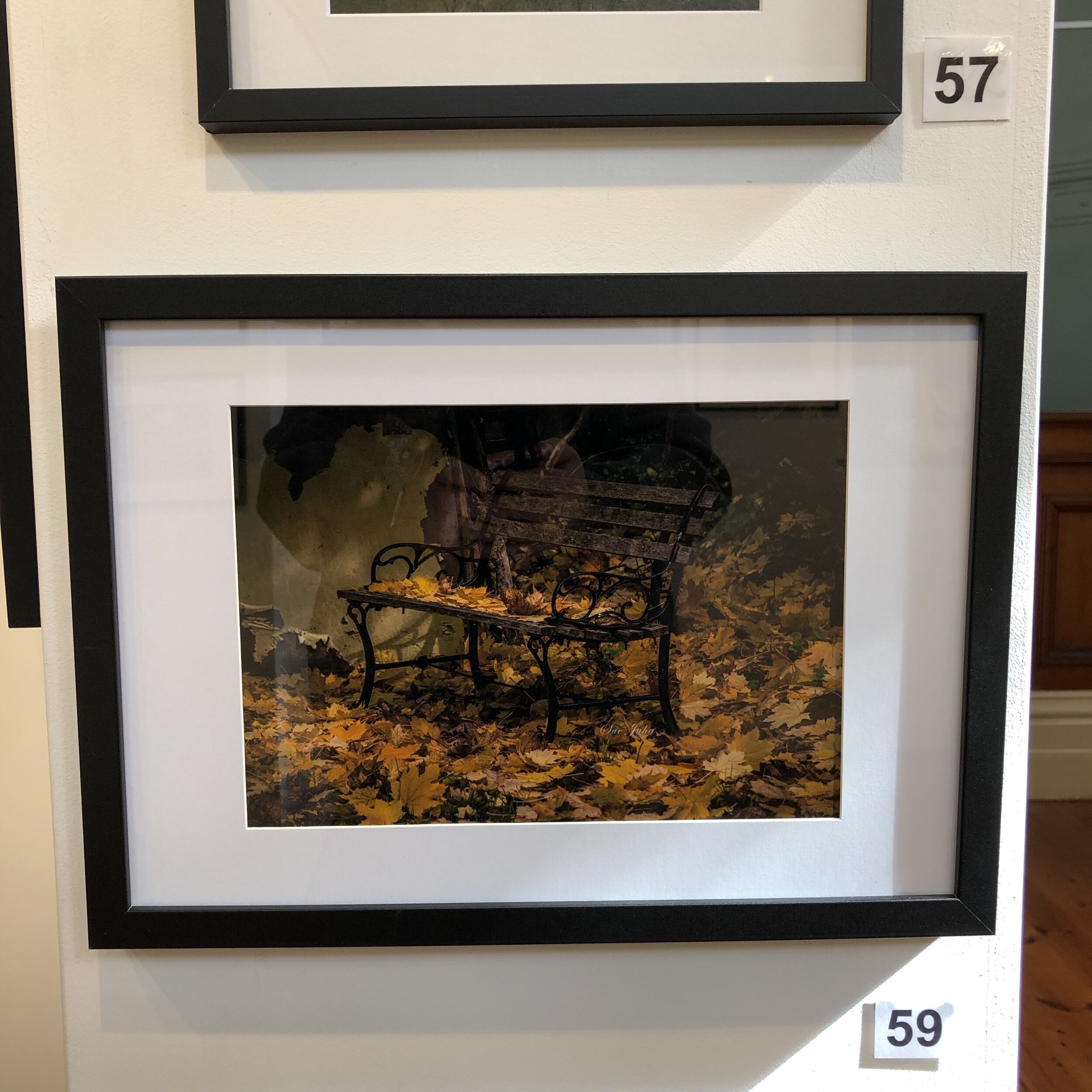 "Fallen Leaves" by Sue Juha