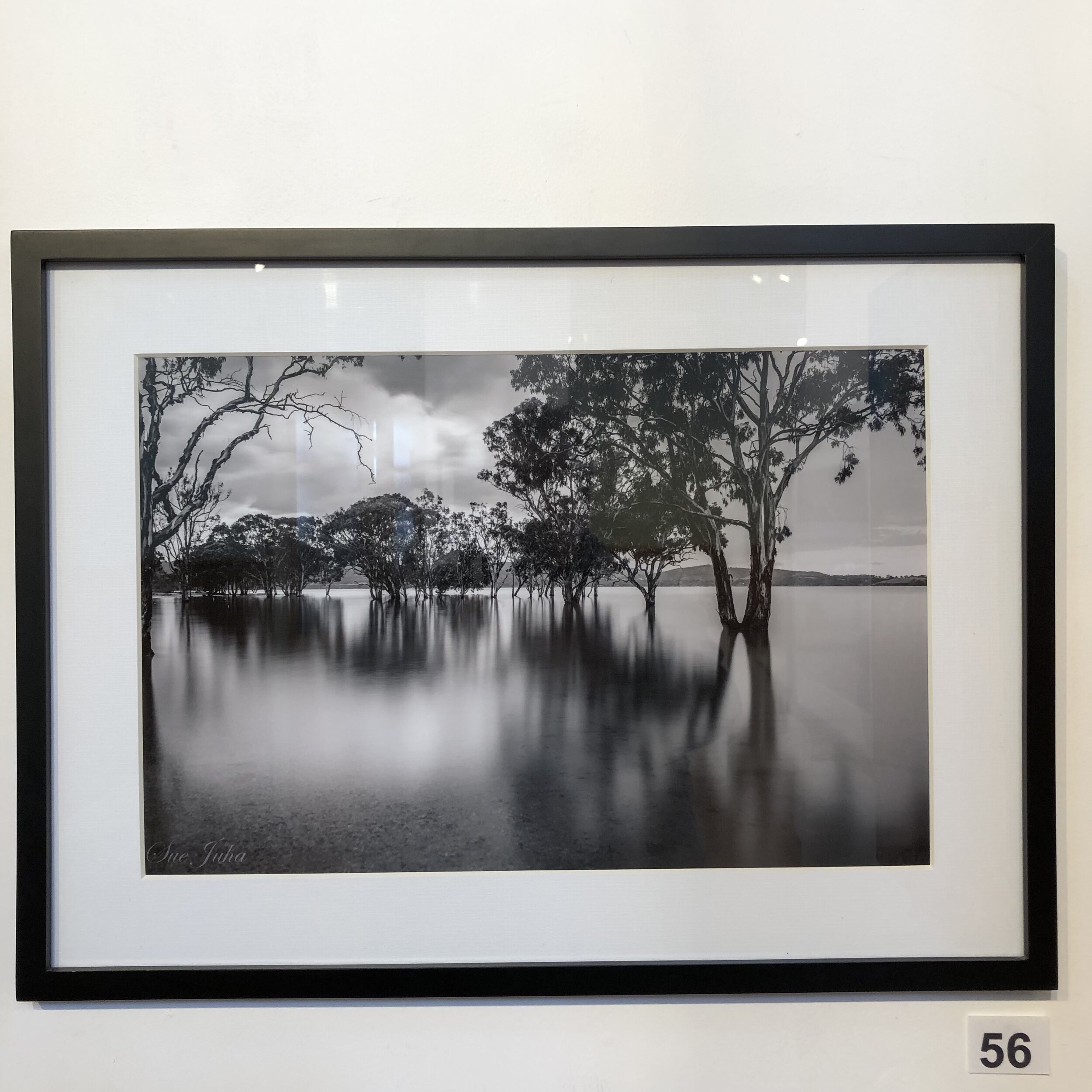 "Lake Glenmaggie in B&W" by Sue Juha