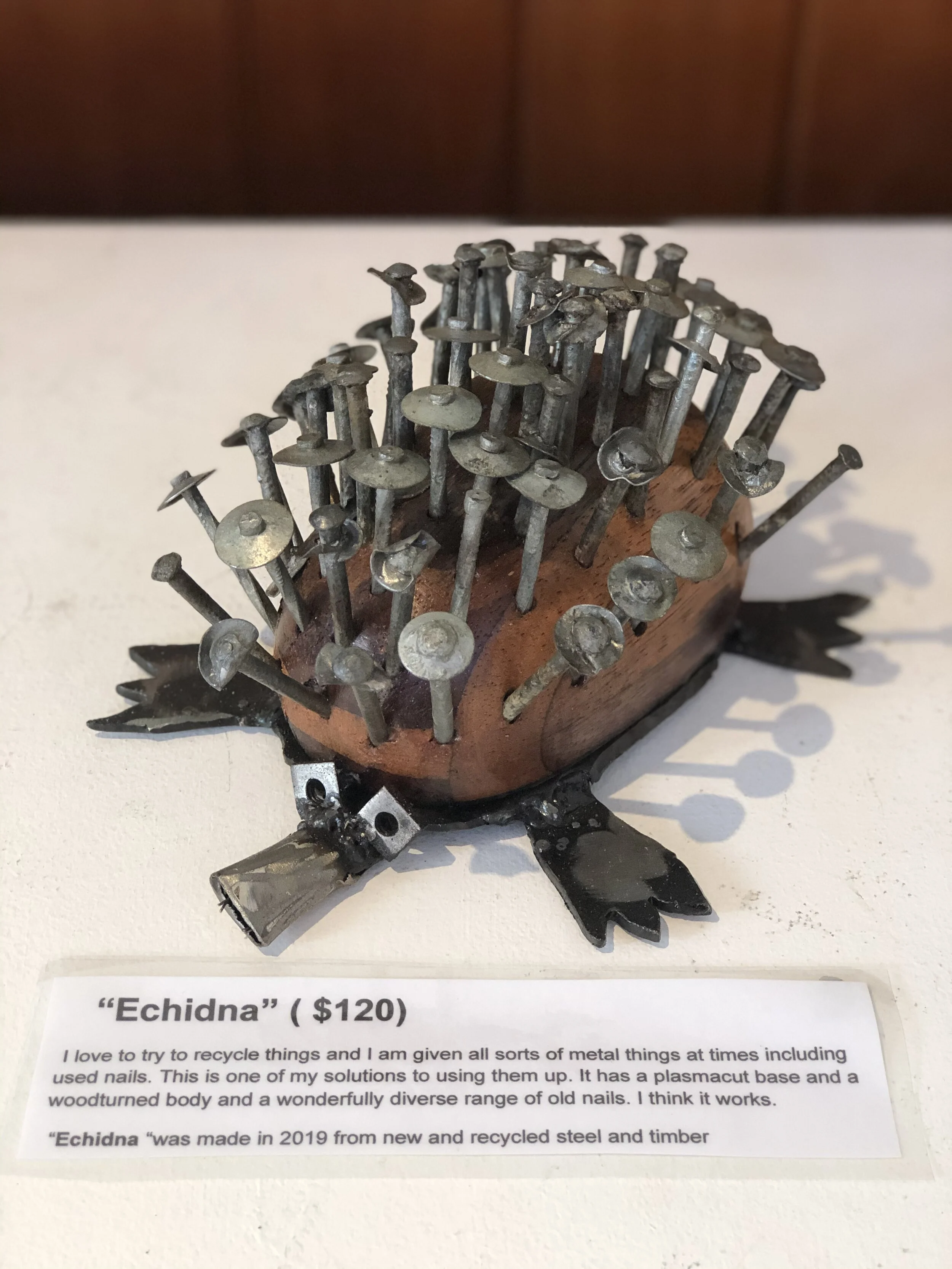 "Echidna"