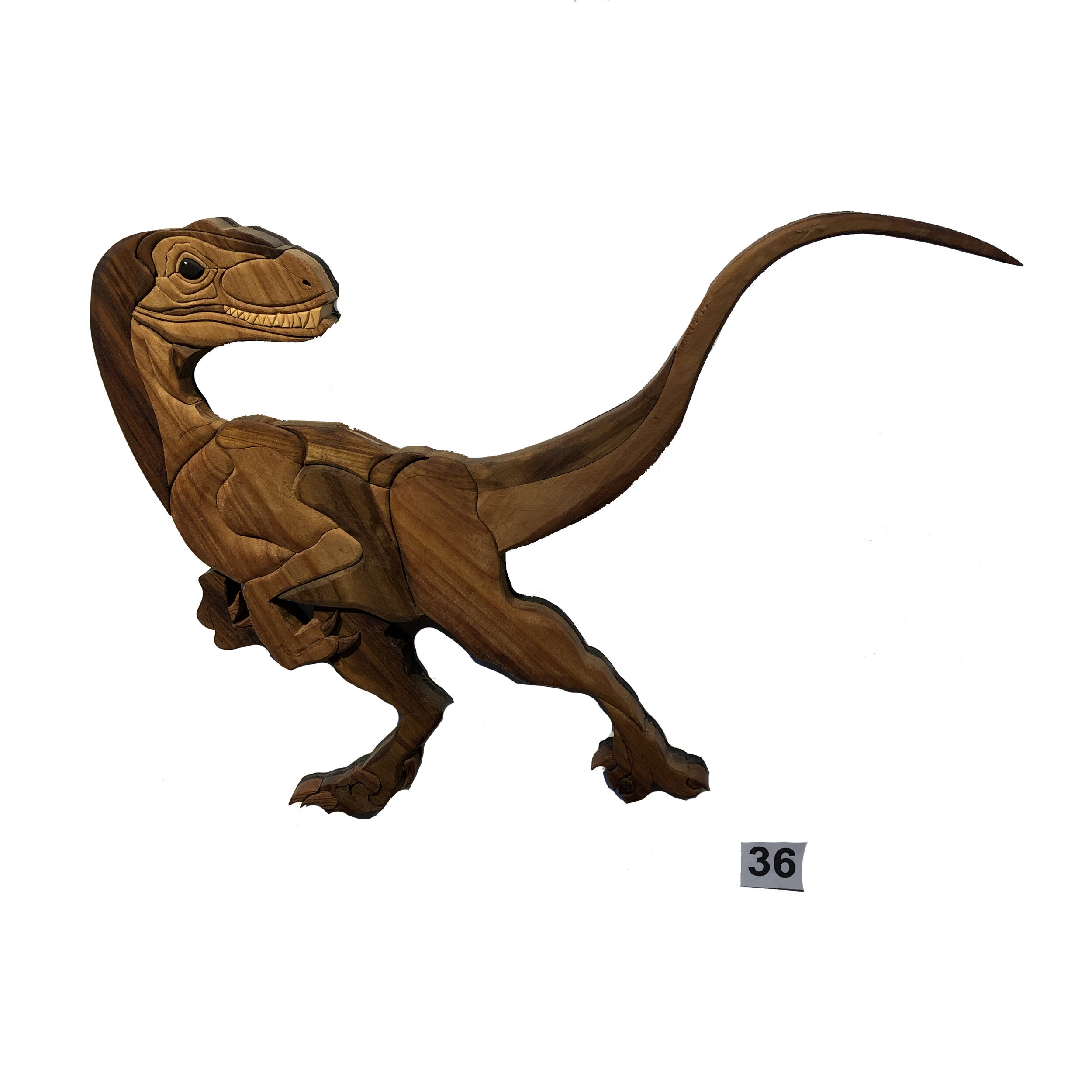 “Dinosaur”  Craig Smith 