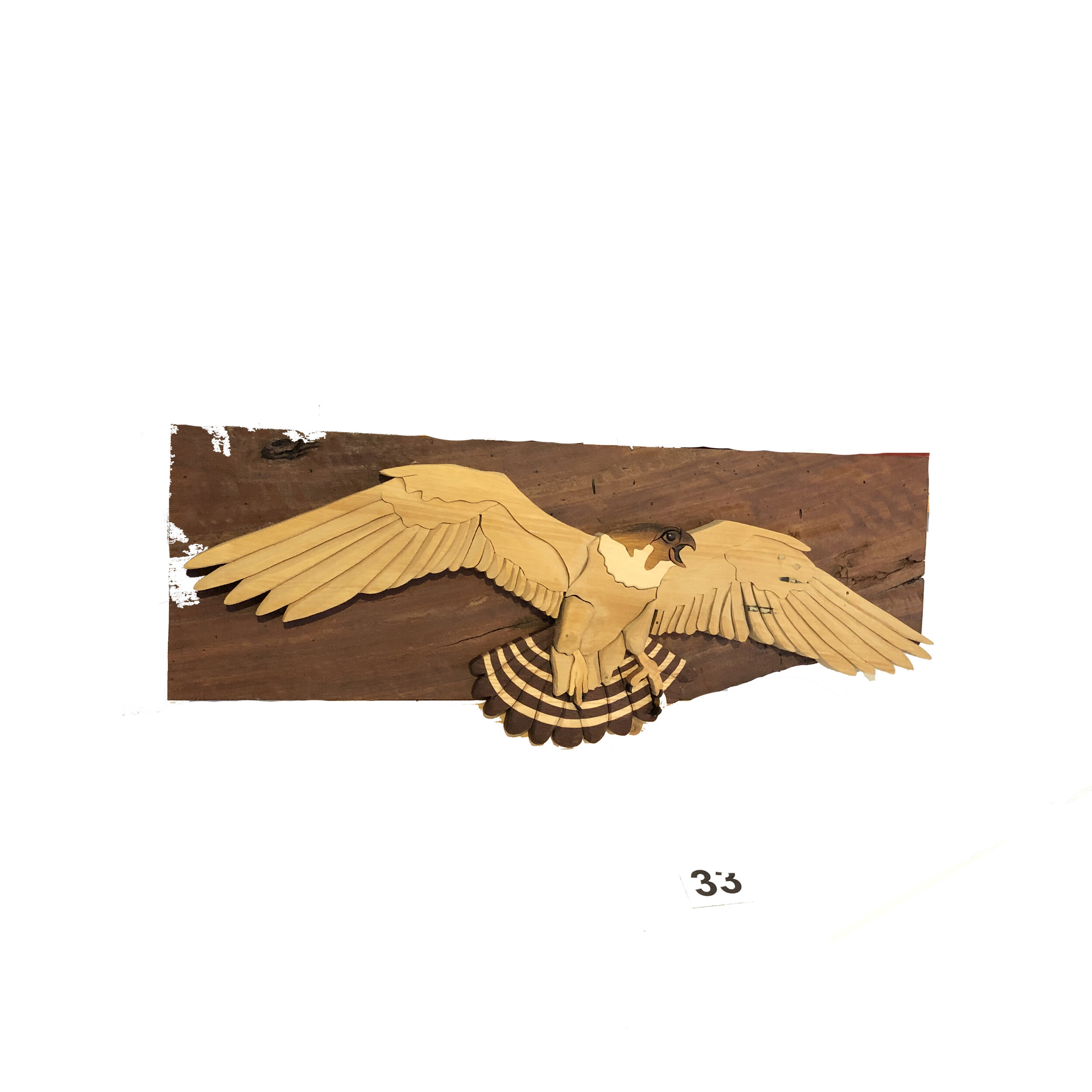 “Peregrine Falcon”  Craig Smith 