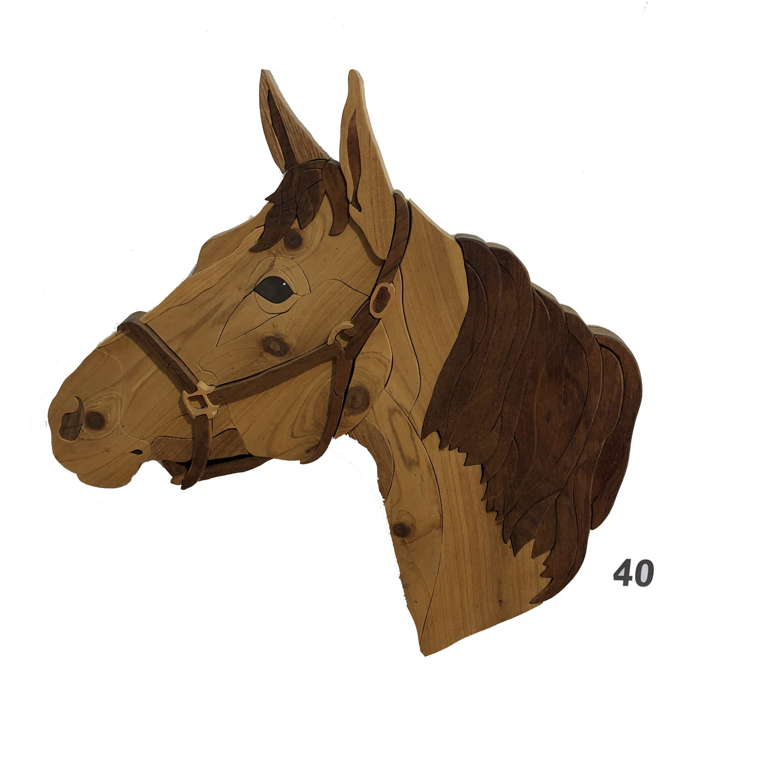  “Horse 1”  Craig Smith 