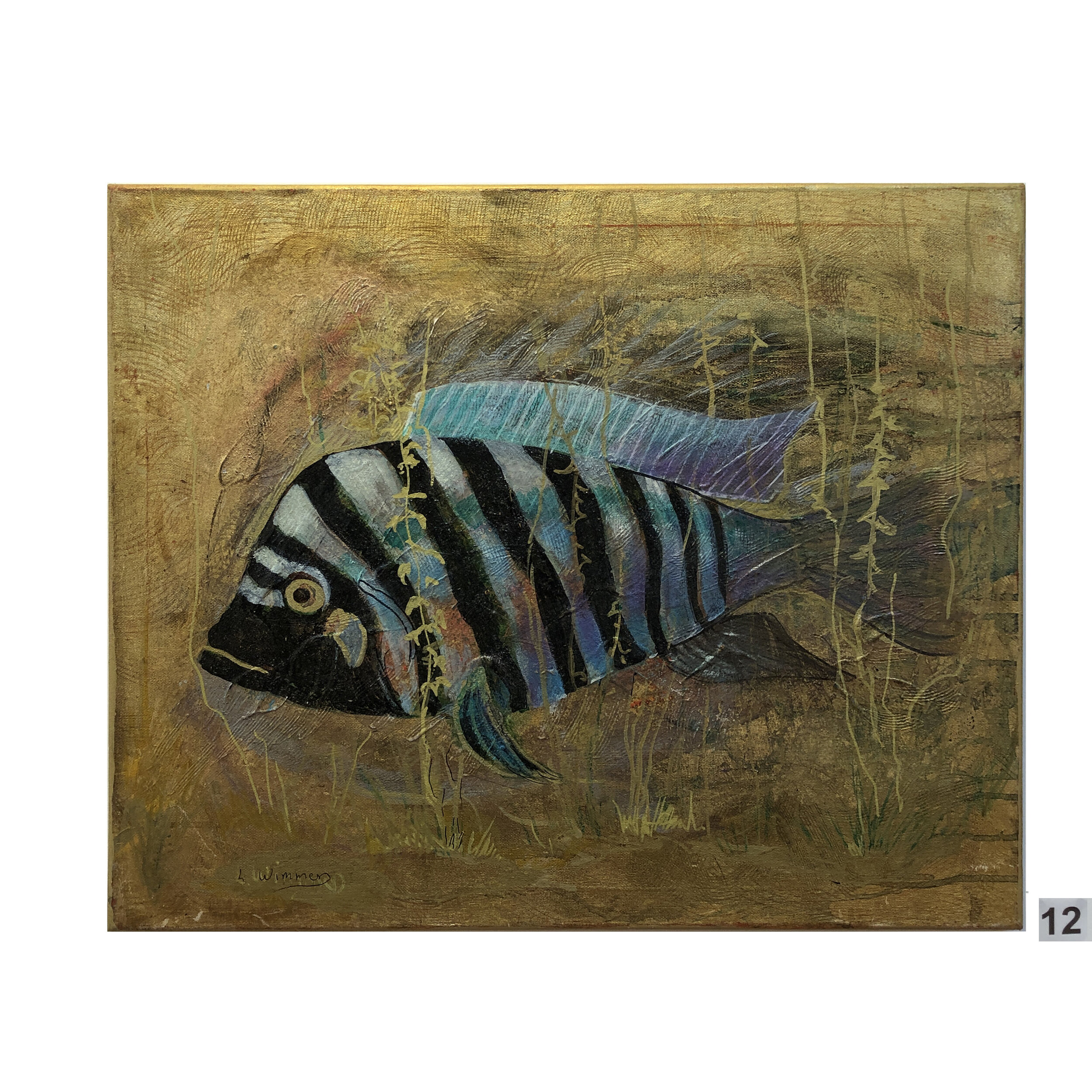  “Black Striped Fish” 