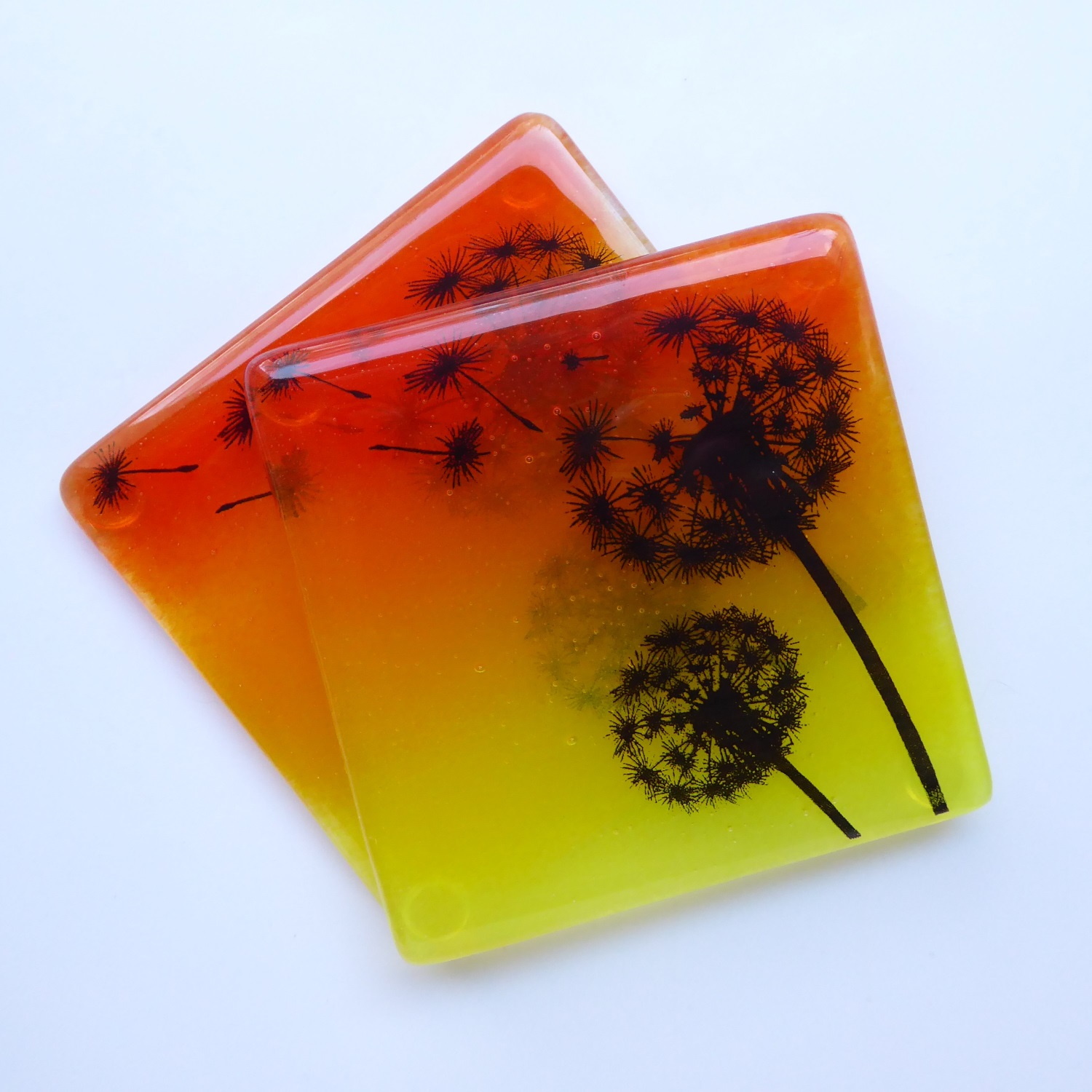 Dandelion silhouette coasters