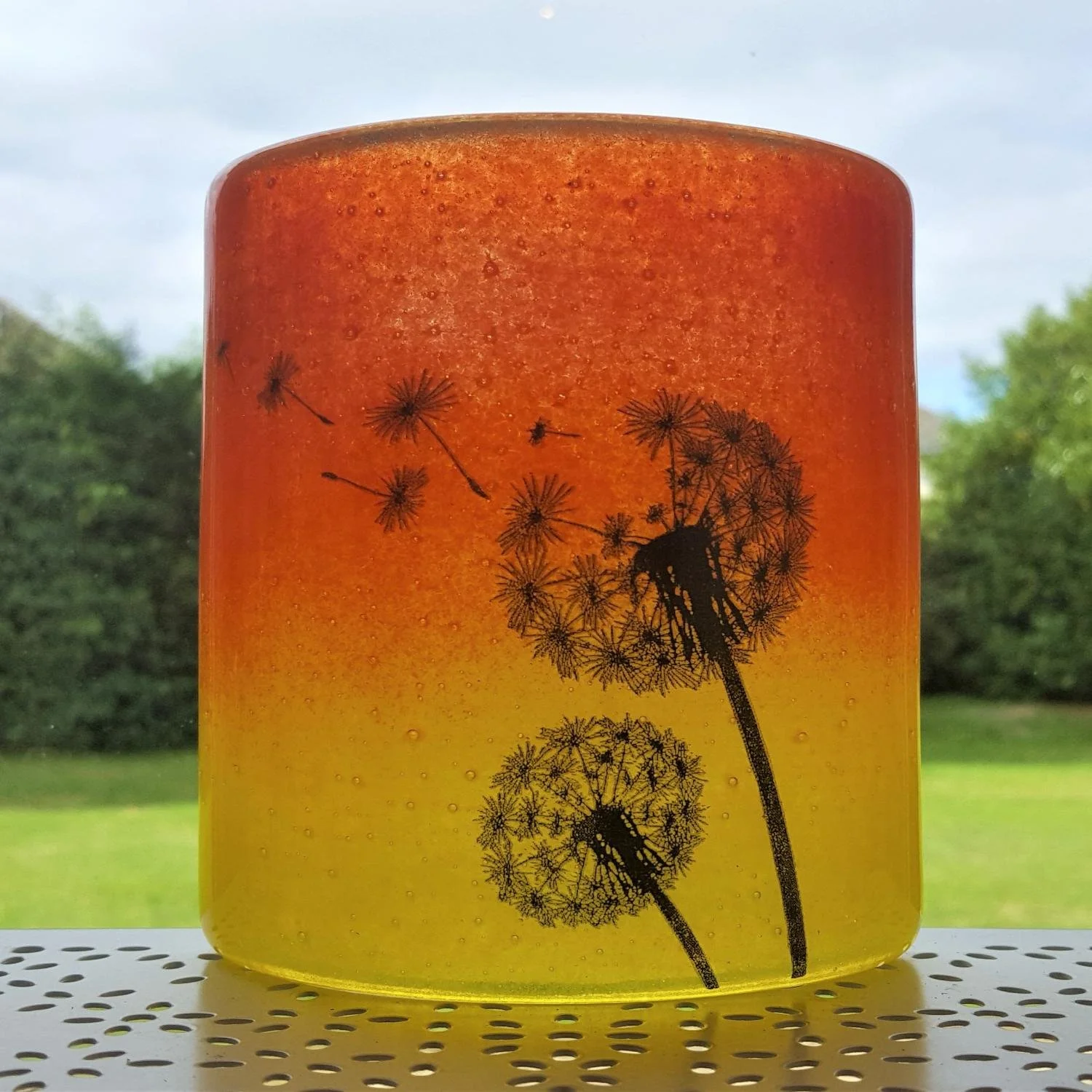 Wildflower Meadow Collection