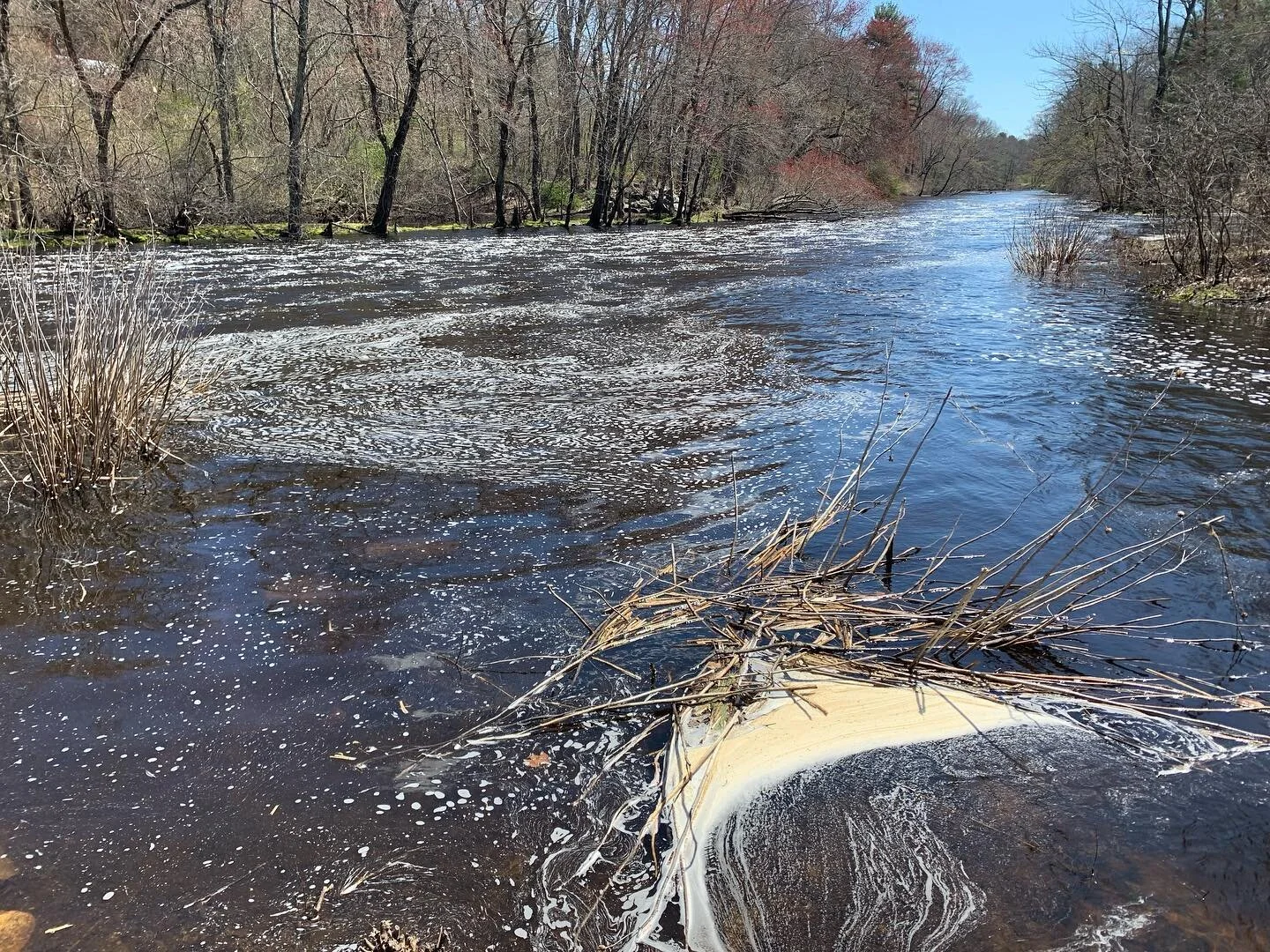 We spent a couple of fun hours on this Earth Day on the #charlesriver at the Village Falls Park in Needham doing a River Cleanup for the @charlesriverwatershed The staff and crew at the @crrchamber had a good time. Some of us might have even gotten a