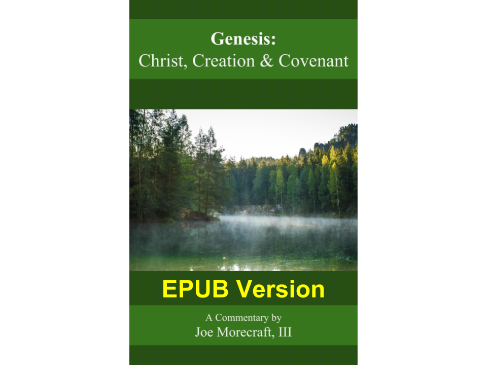 Genesis: Christ, Creation and Covenant