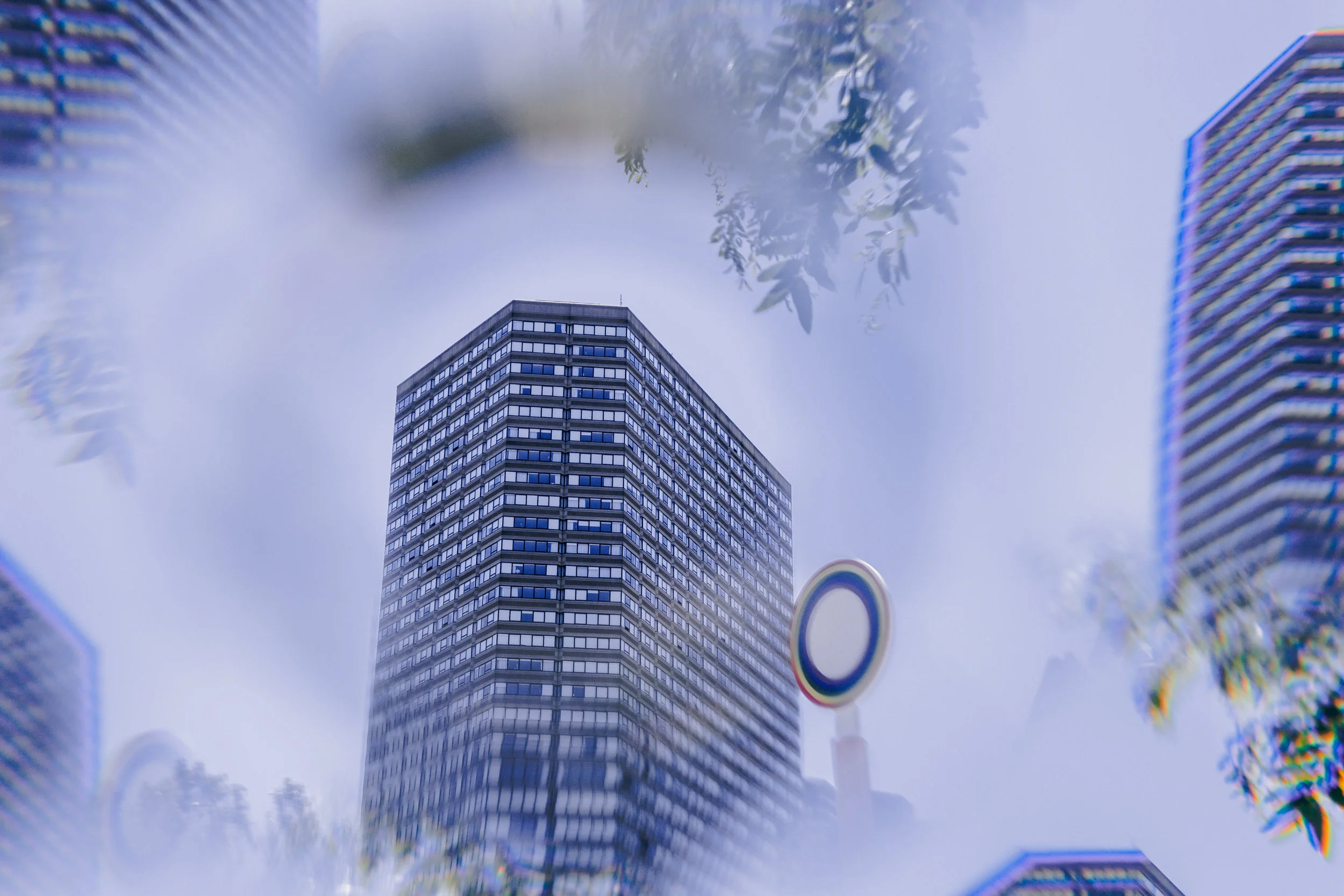 004.jpg