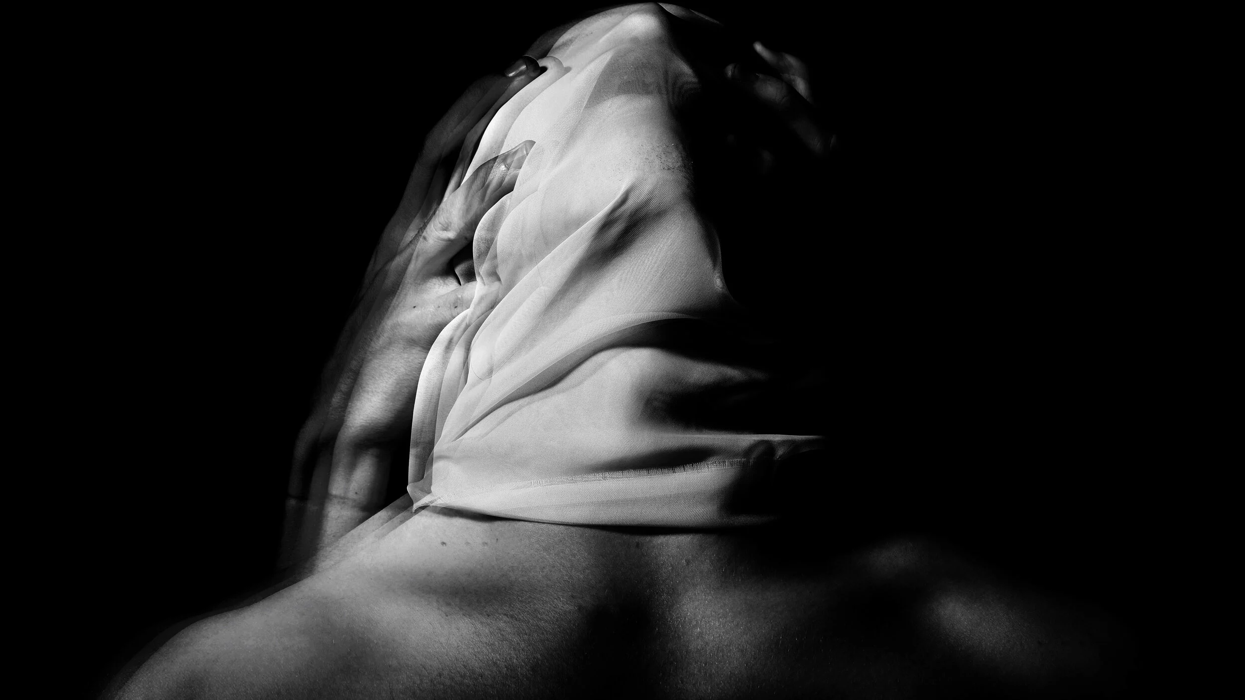 Eddins, Sophie Portfolio 8.jpg