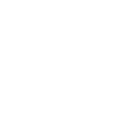 Salsa