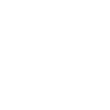 Revel Bikes