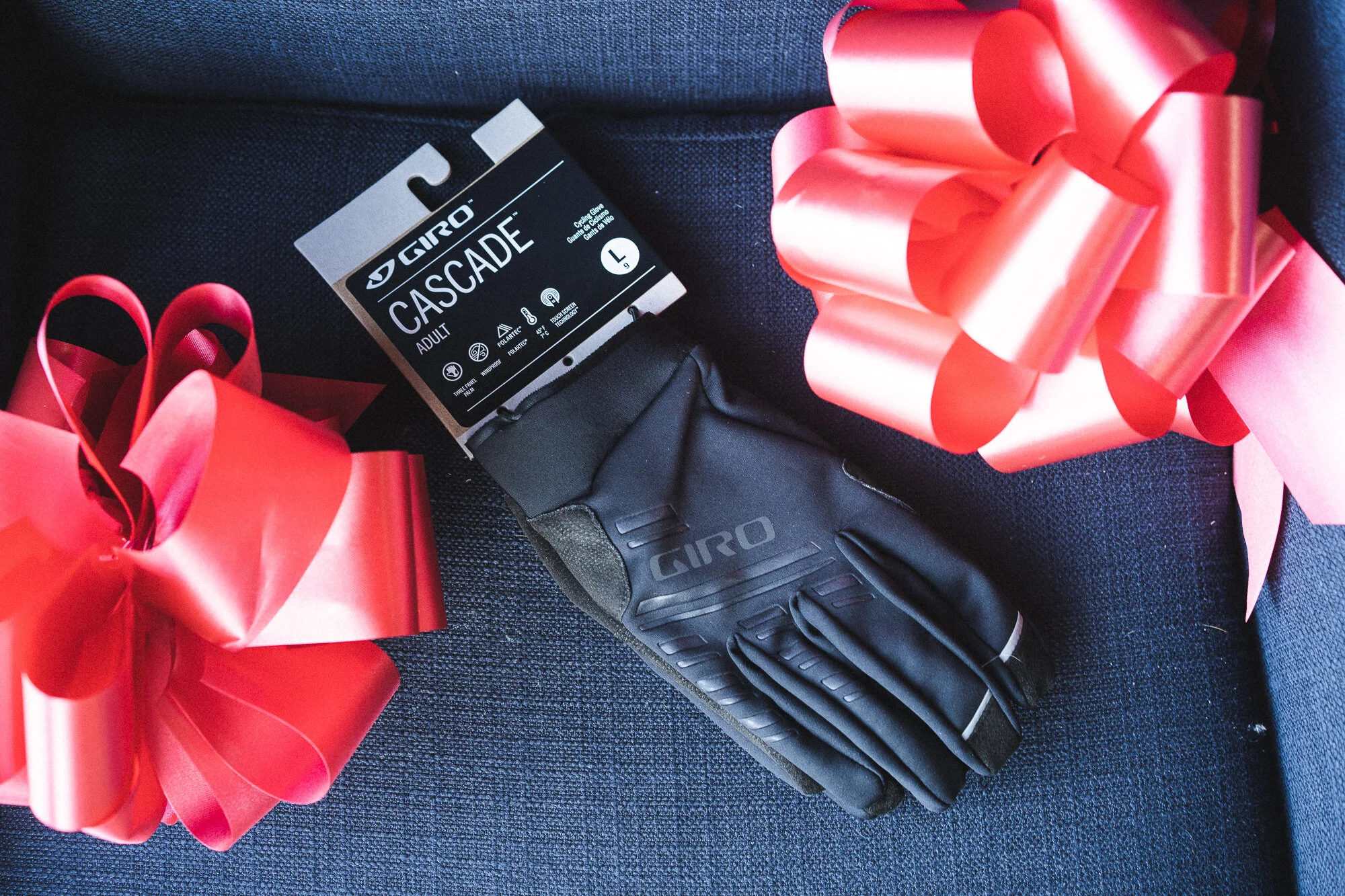 Giro Cascade Winter Gloves