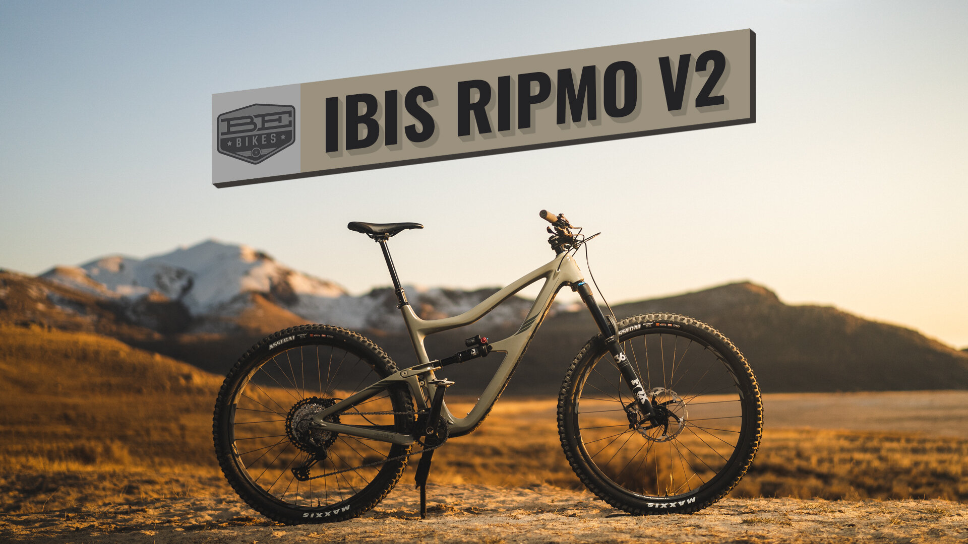 ibis ripmo sale