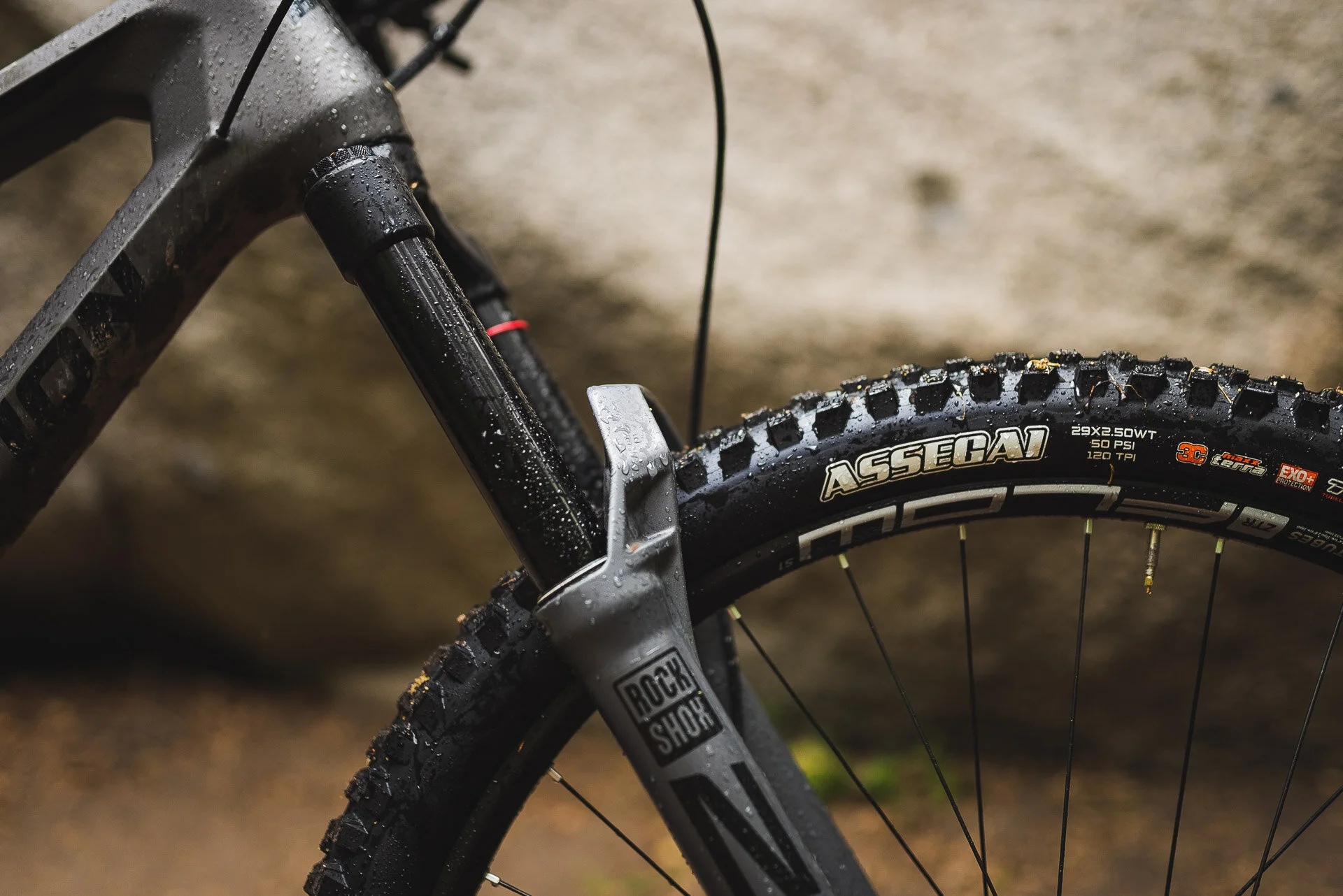 Transition Sentinel Review — Biker's Edge