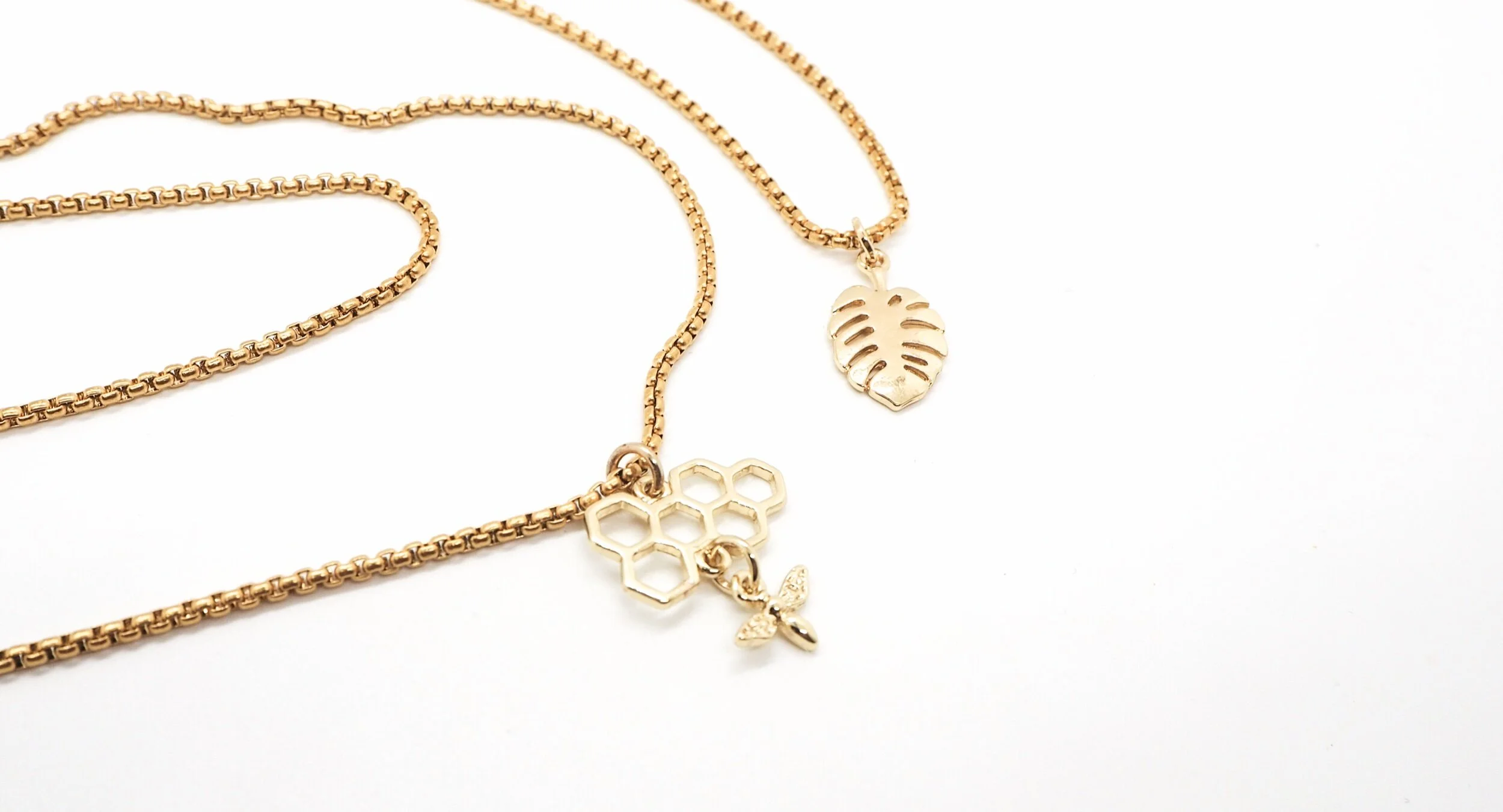 94889CE8-AA86-48AE-ABA1-73C385C1527F