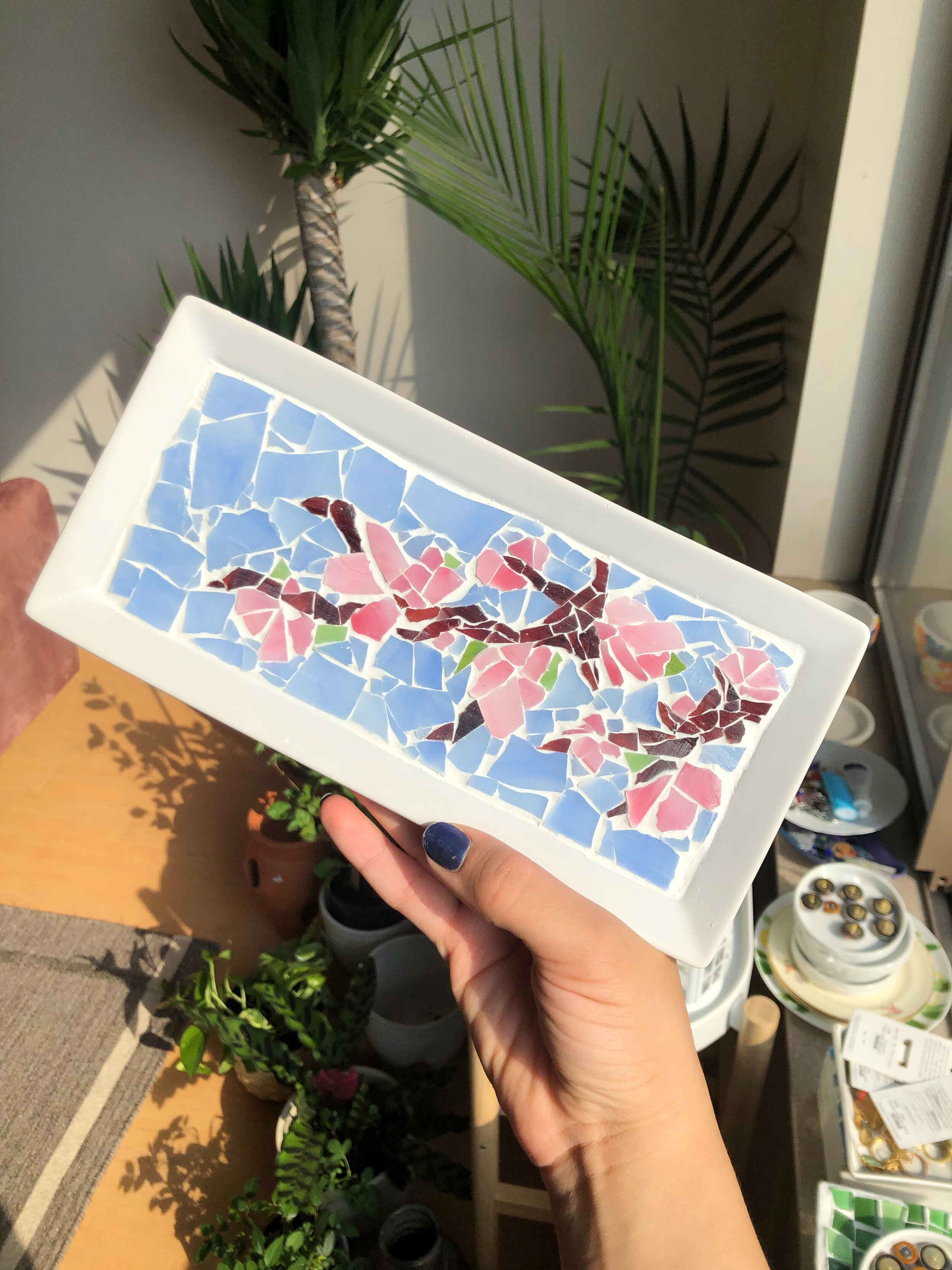 morning cherry blossoms 