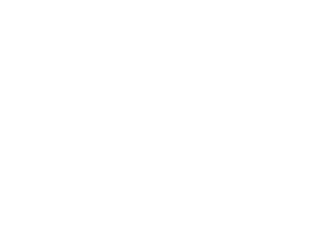 Peer-Support.png