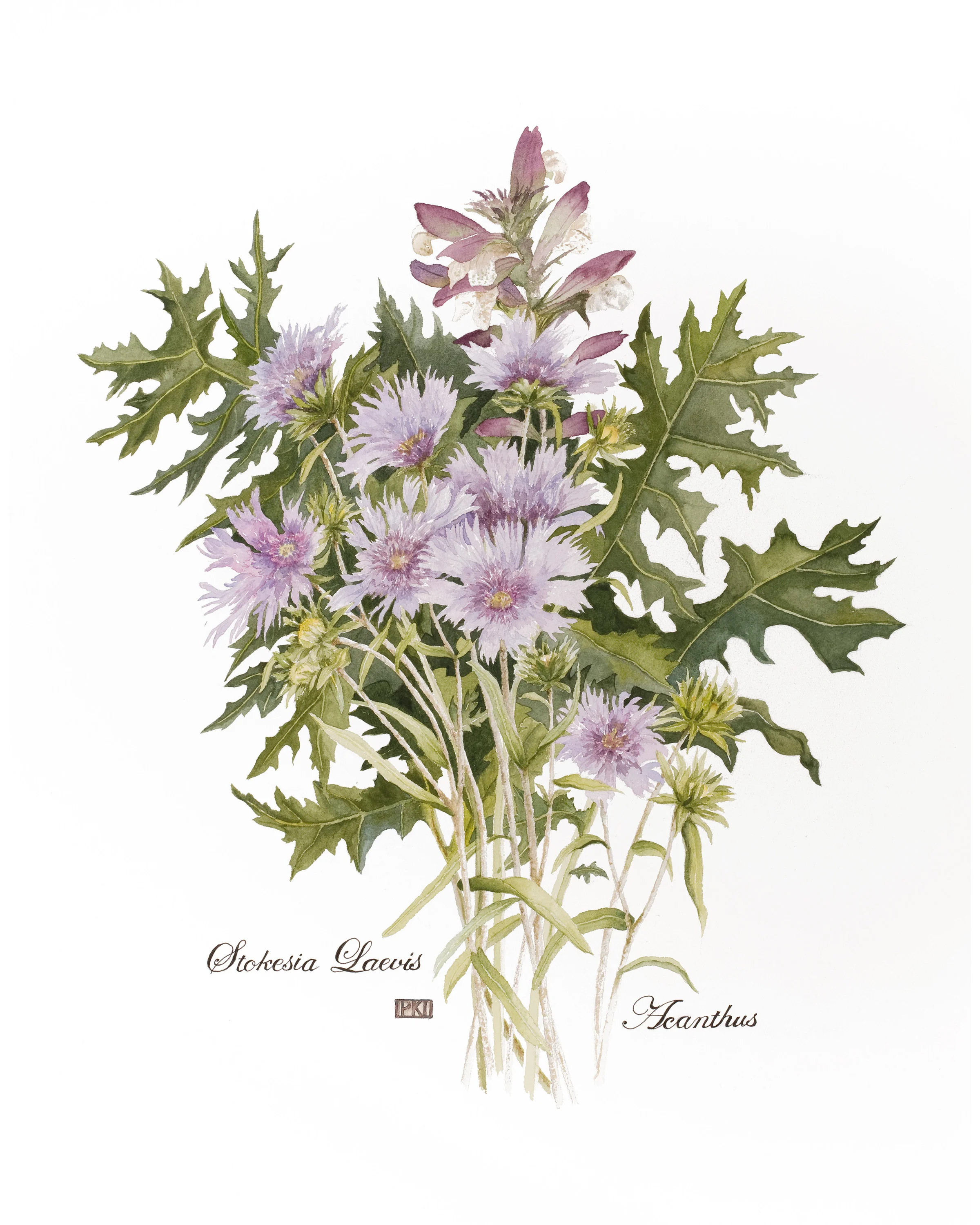Acanthus.jpg