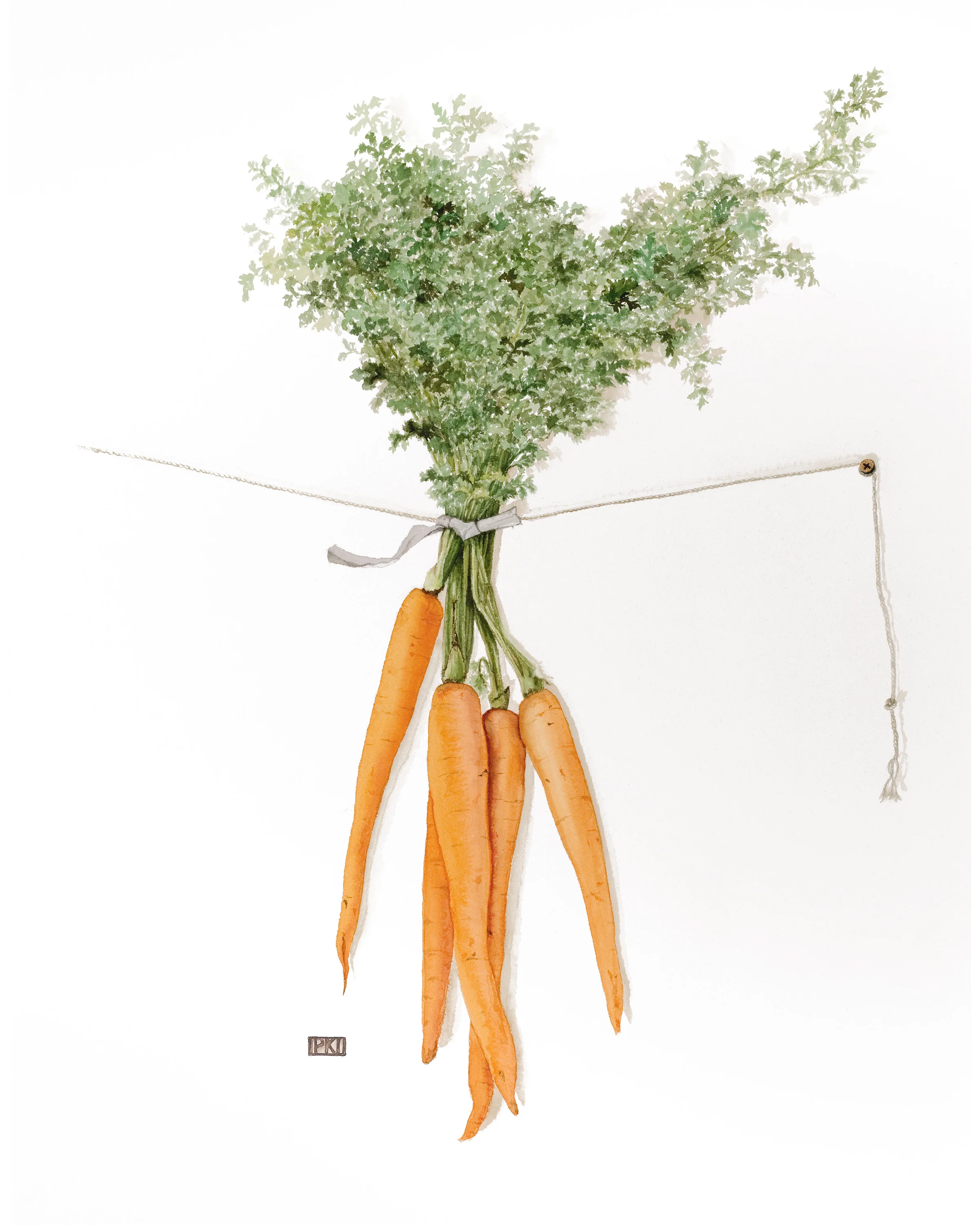 Carrots.jpg