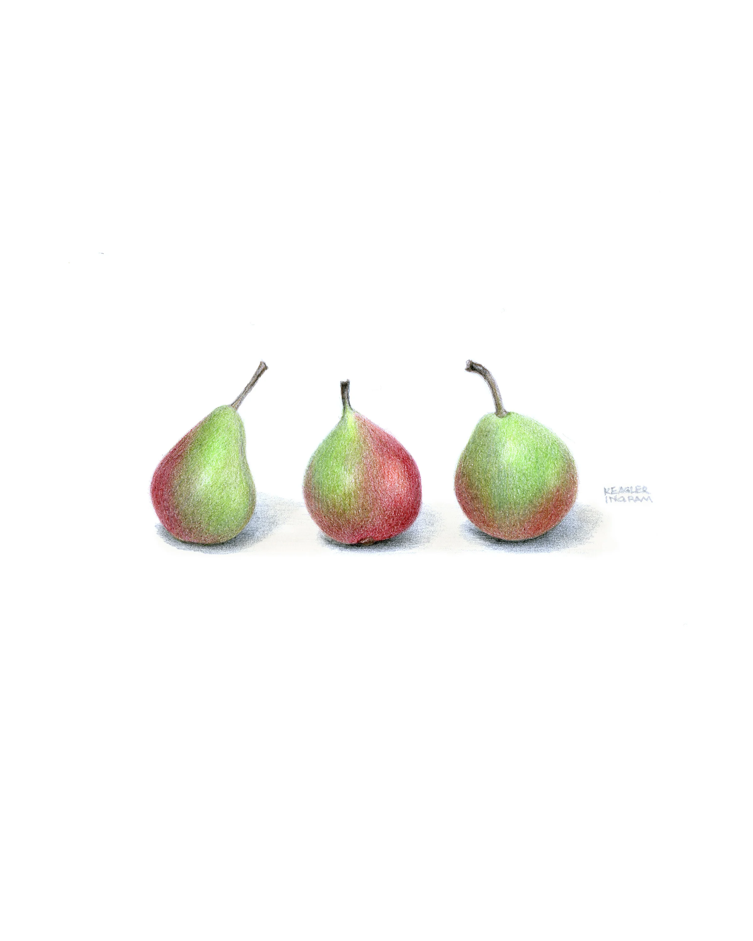 Pears.jpg