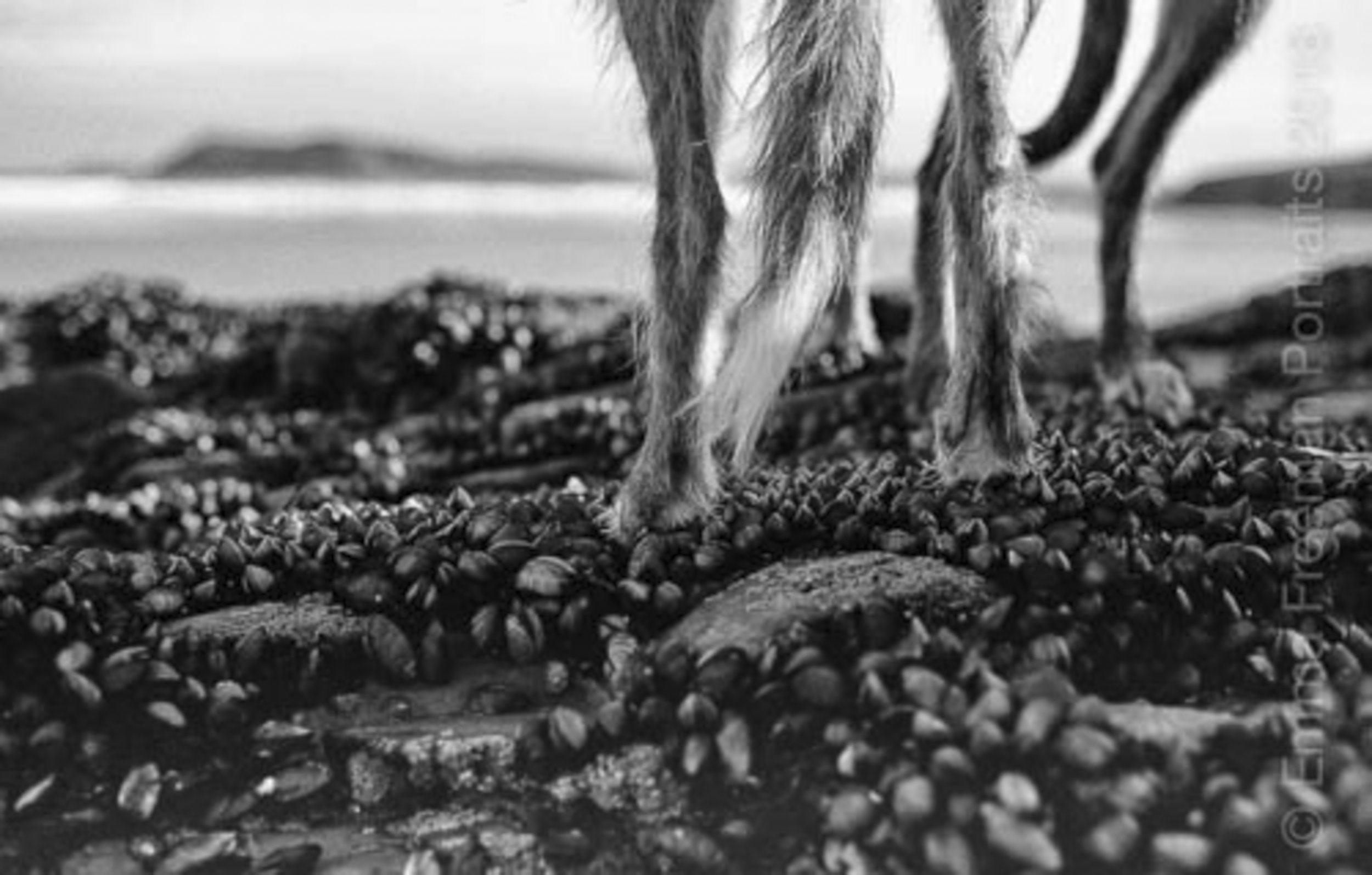 Polzeath 2018 005-2-2-Recovered.jpg