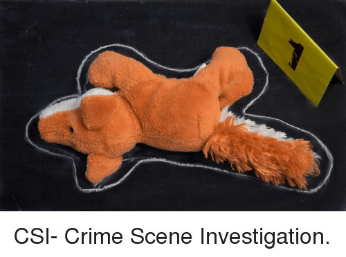 CSI Stuffed Animals.png