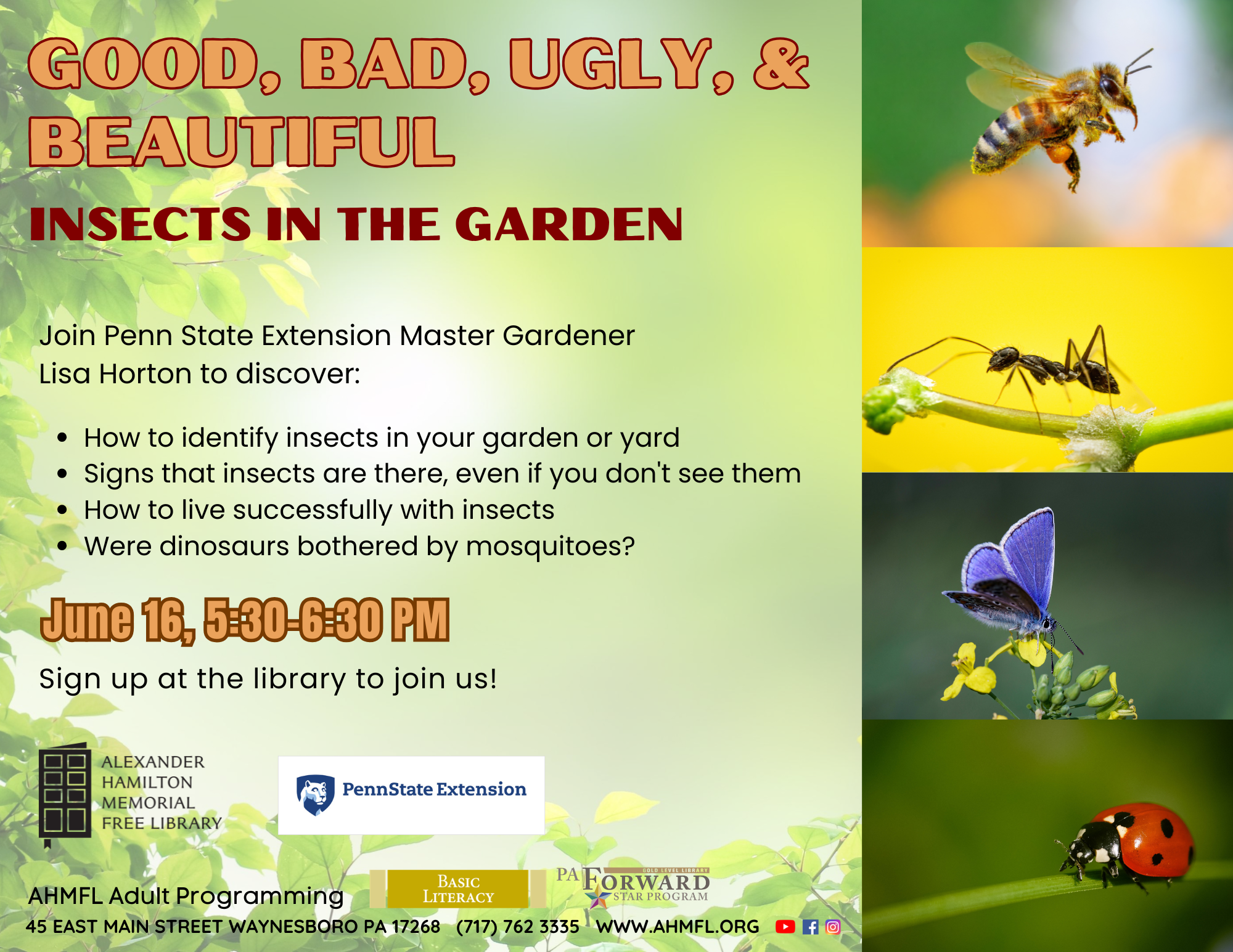 Entomology flyer (11 x 8.5 in).png
