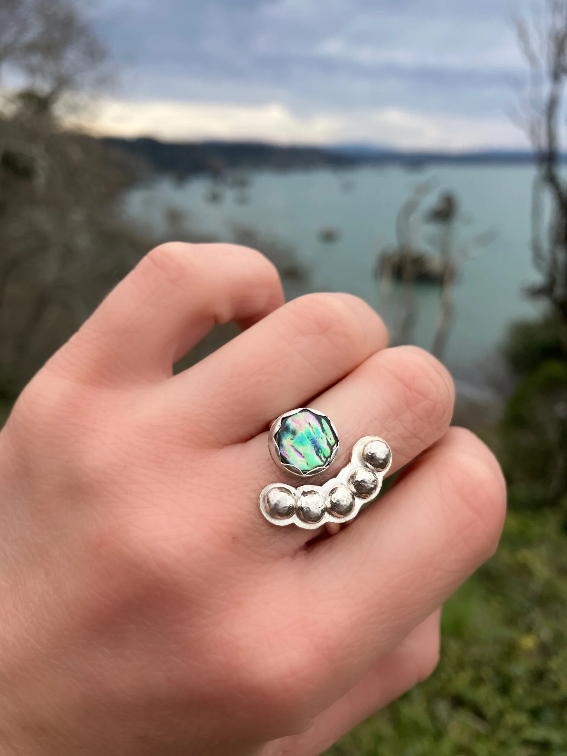 C5241FF5-26E6-4756-BD92-6AB262686851