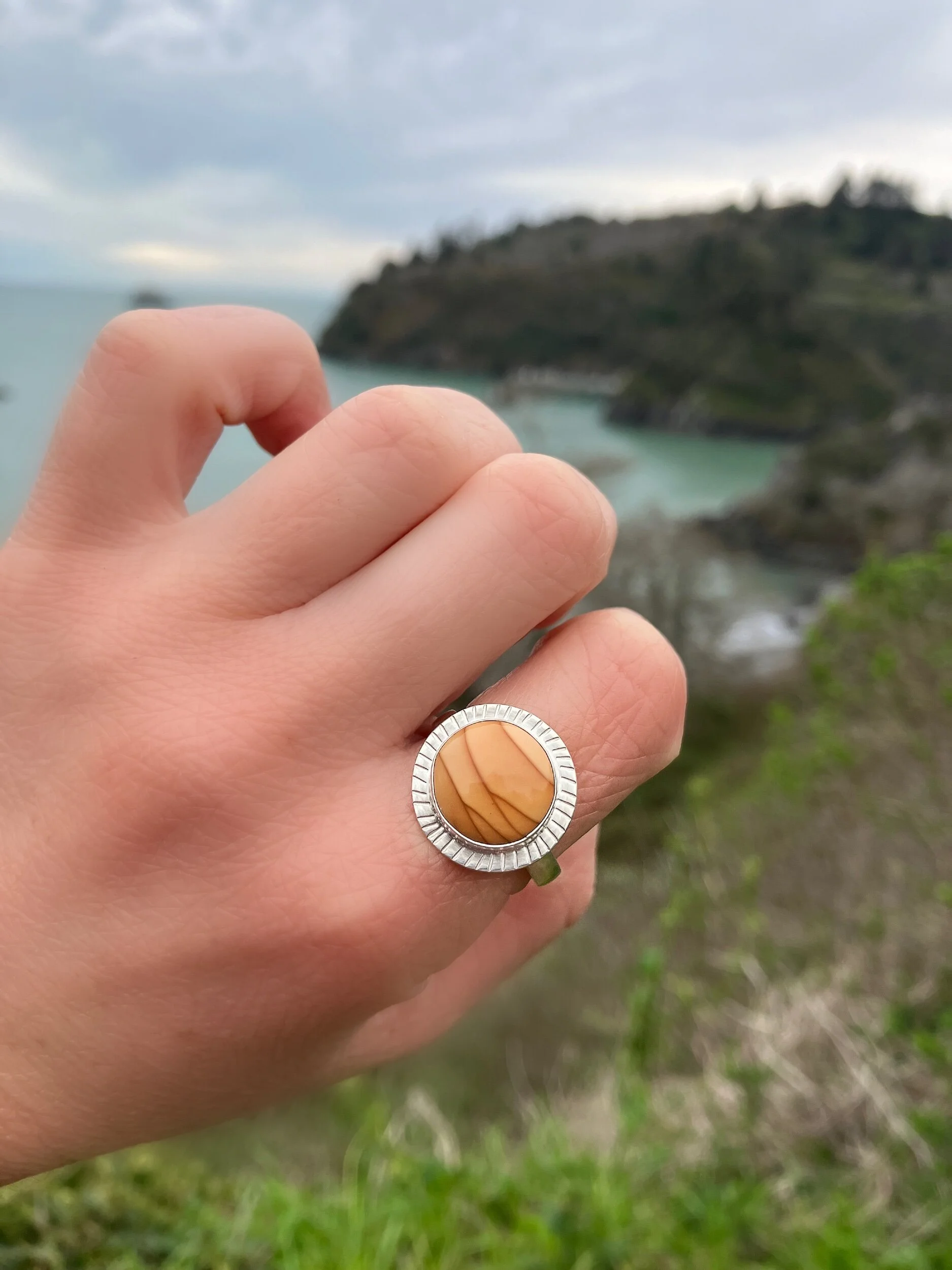 B7275A9F-607A-48CE-B094-60E789520CAE