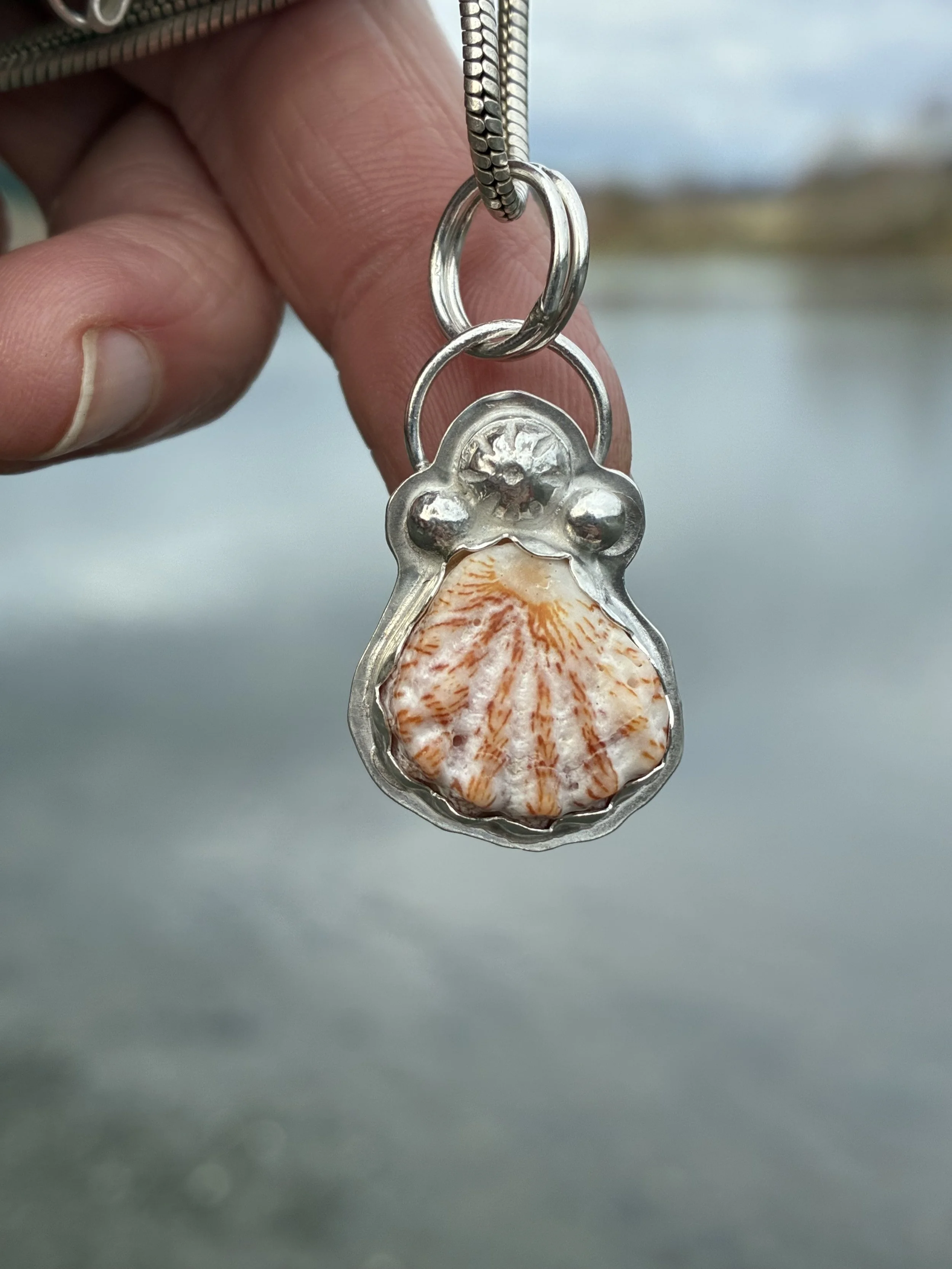 Kitten paw  shell silver pendant .jpeg