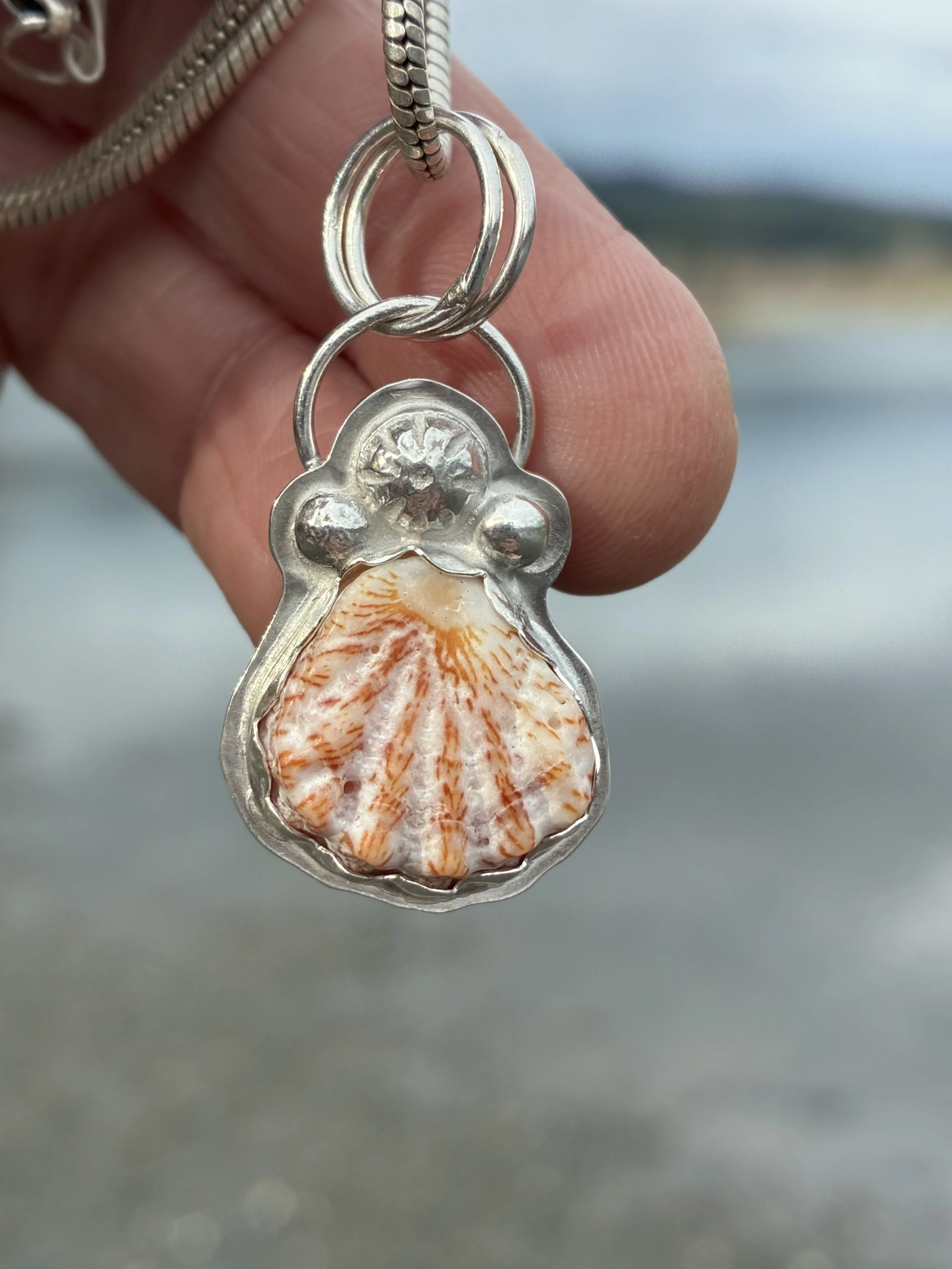 Kitten Paw Shell Pendant