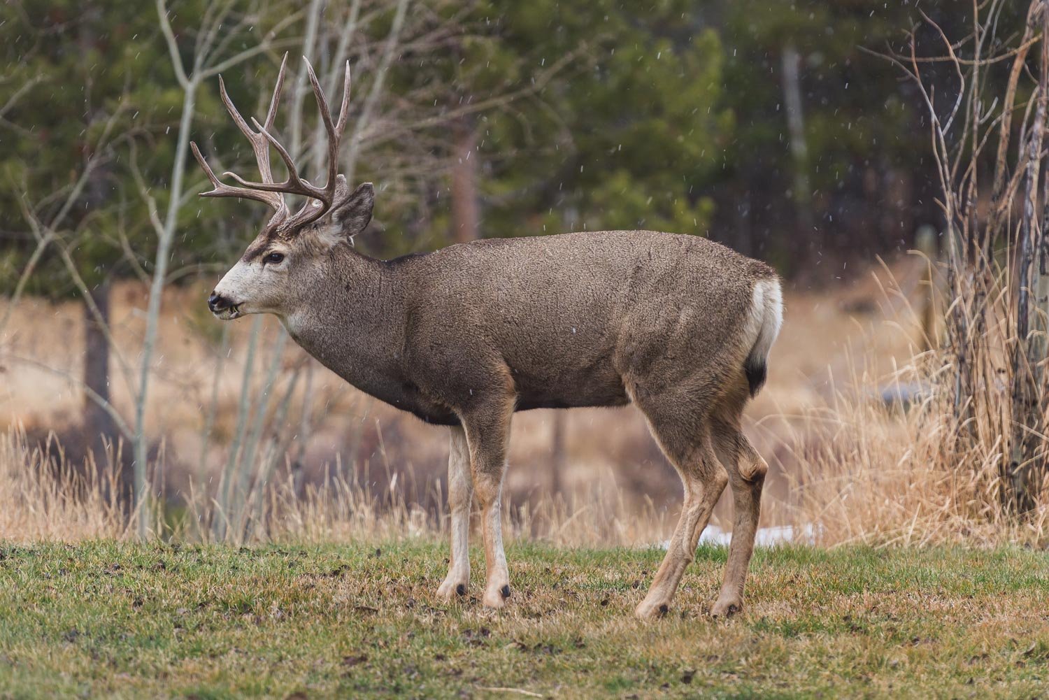DSC_1685.jpg
