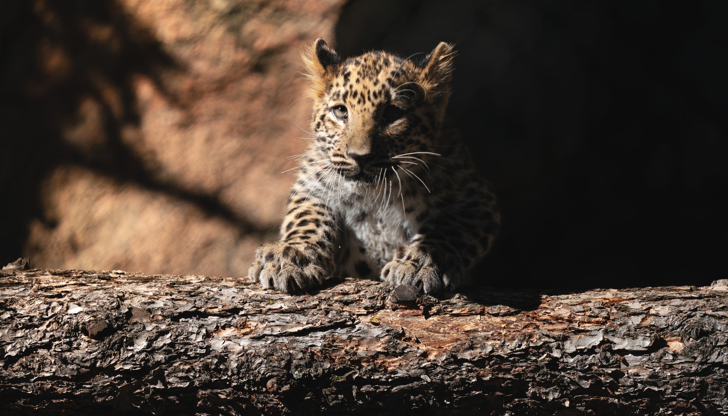  Cheyenne Mountain Zoo 