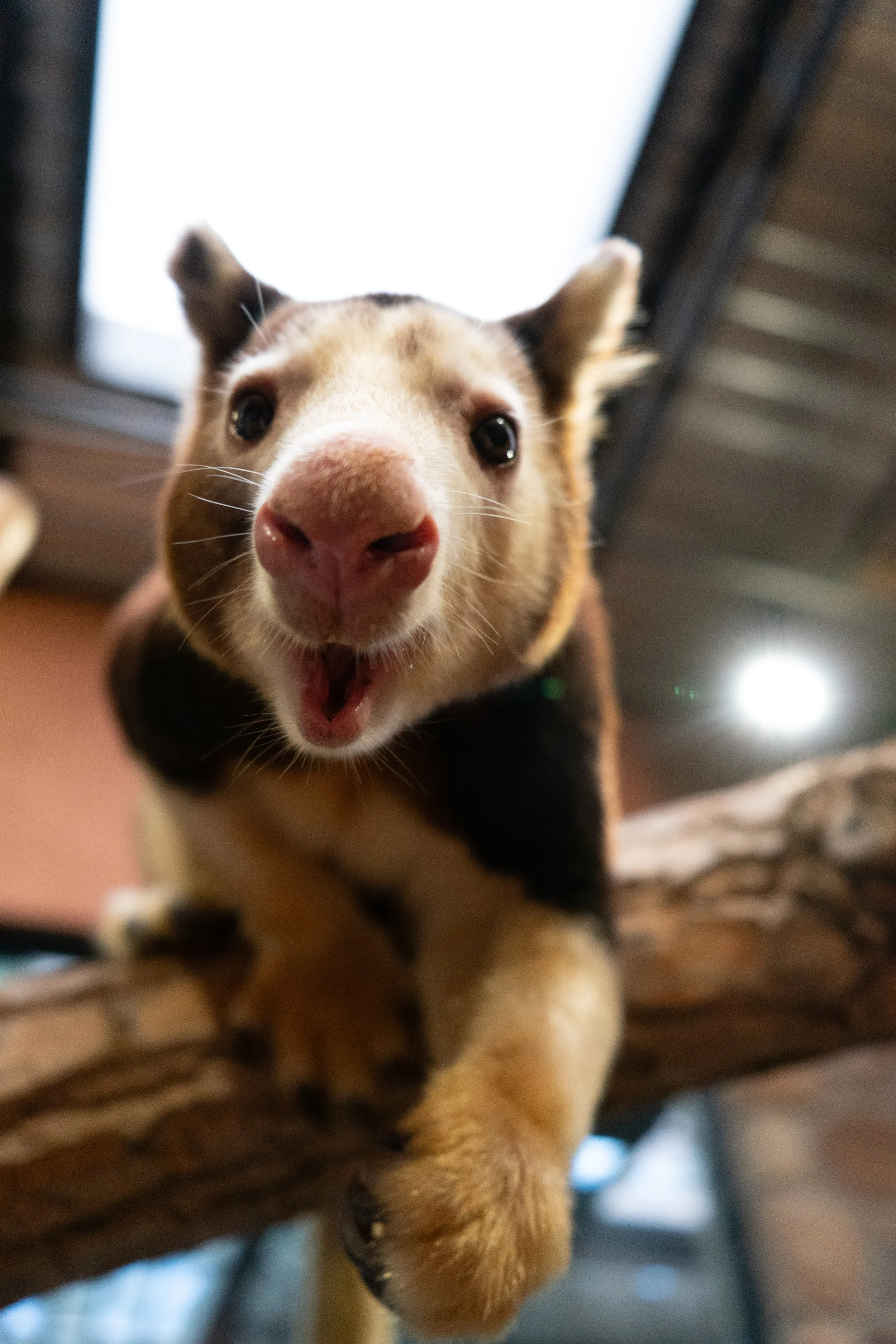  Cheyenne Mountain Zoo 
