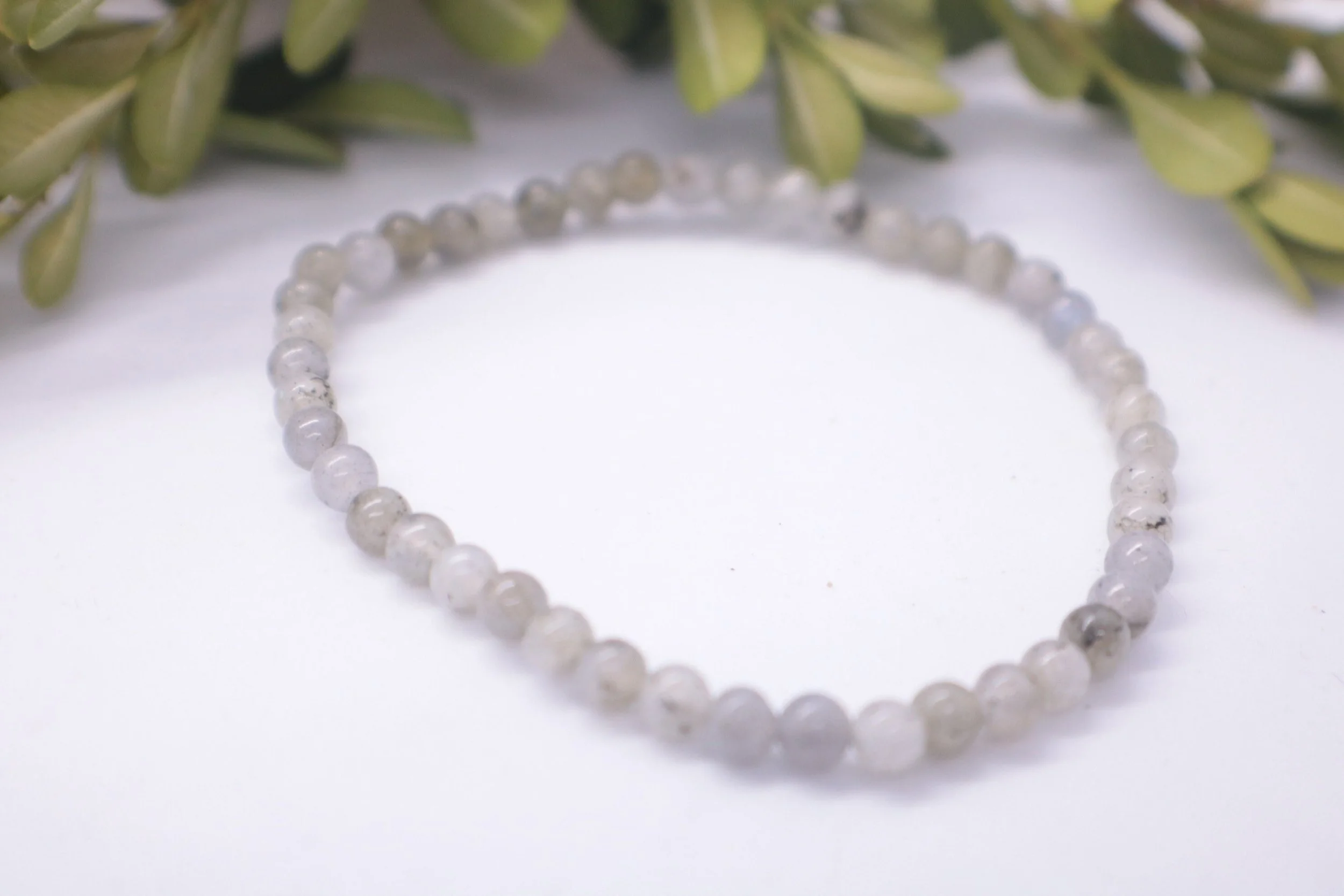 https://i.etsystatic.com/22726612/r/il/11d647/2989693915/il_fullxfull.2989693915_qbg5.jpg