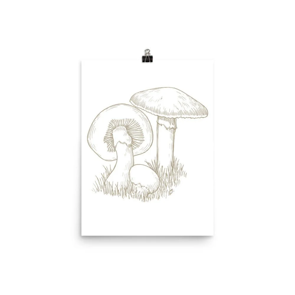 https://i.etsystatic.com/22726612/r/il/170888/3692825526/il_fullxfull.3692825526_gghu.jpg