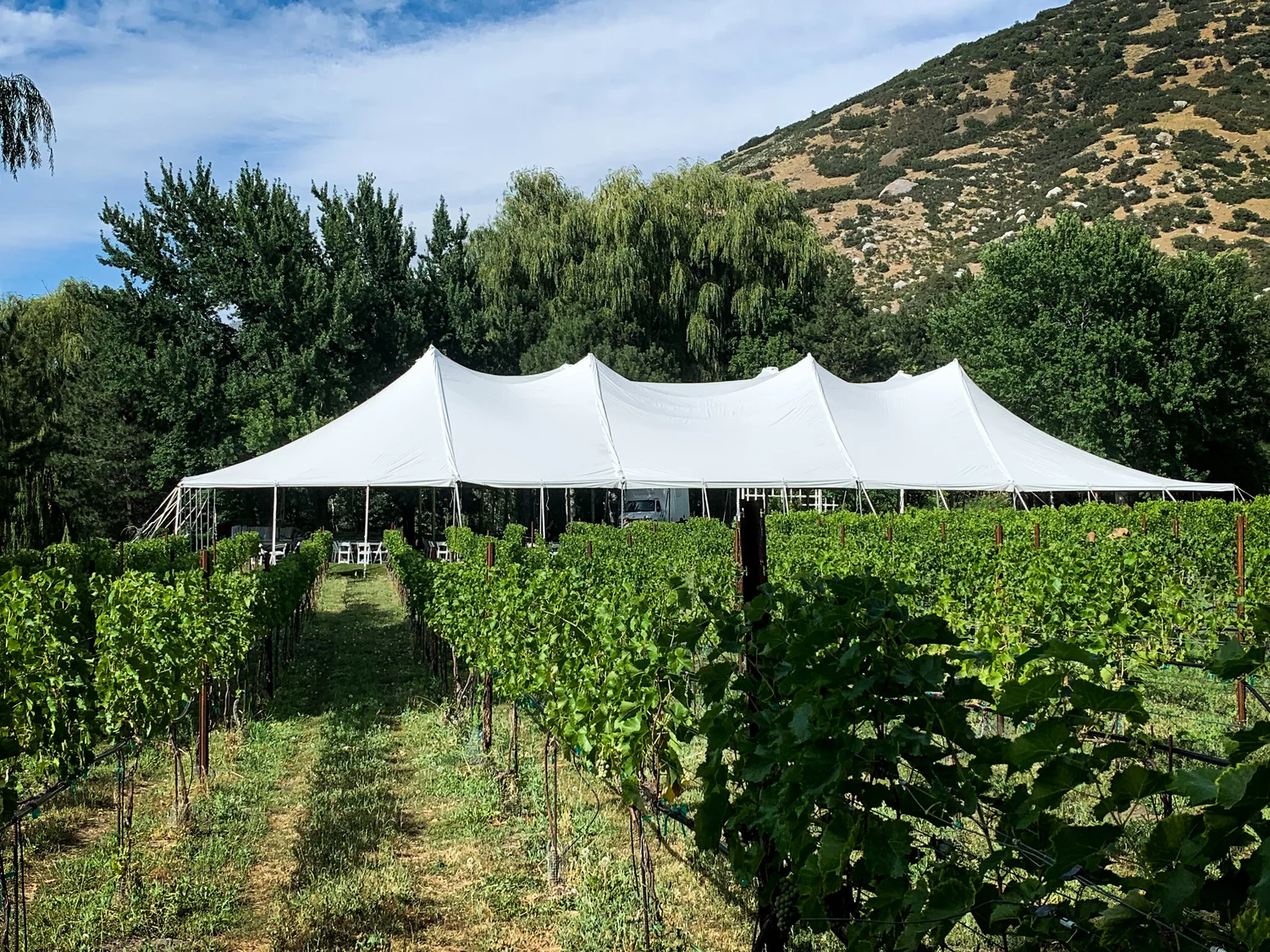 tent panels 10'x10' Solid Premium Wall for Sale Carnival Canopy Rental | Inspired by Nepal Hintergrund:Transparent (doppeltes Acrylglas) The Suntime Instant Pop