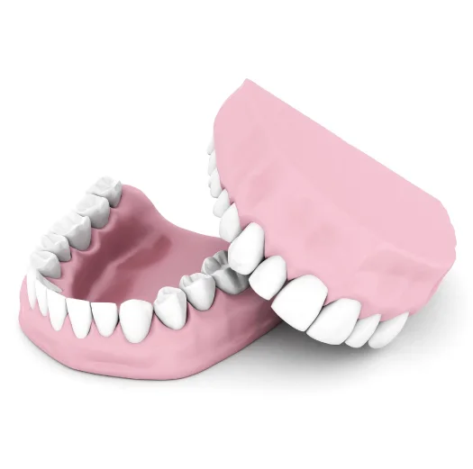 Complete Dentures Wholelifedental